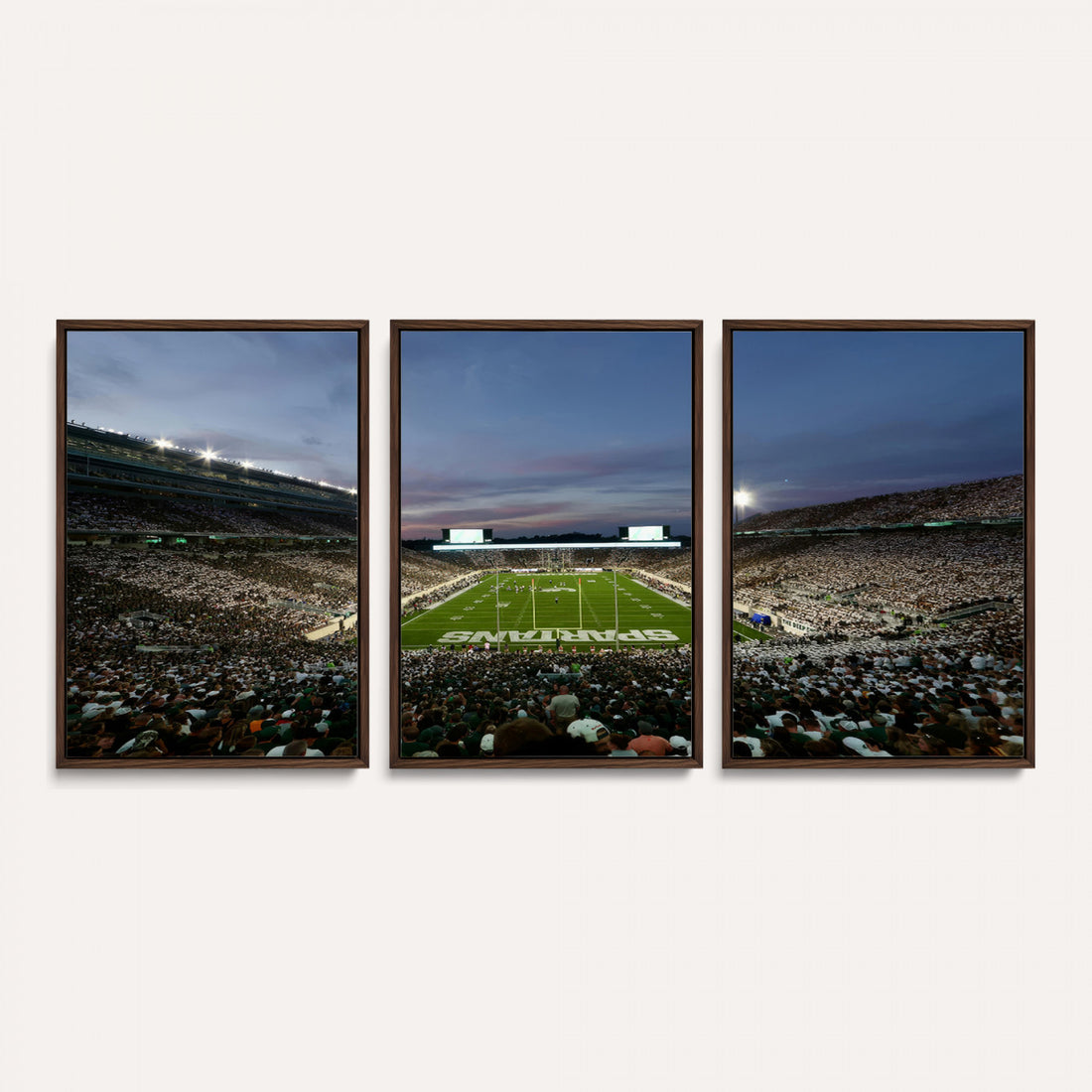 Michigan State Spartans Football Team Print, East Lansing