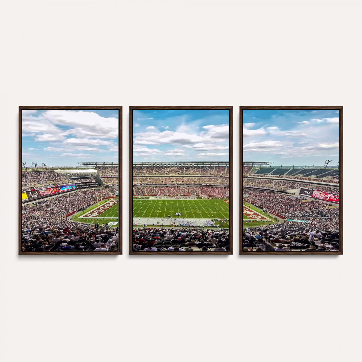 29243-PAN-FL-20X10 - The Temple University Owls Athletics Team Print - Philadelphia Lincoln Financial Field Stadium Wall