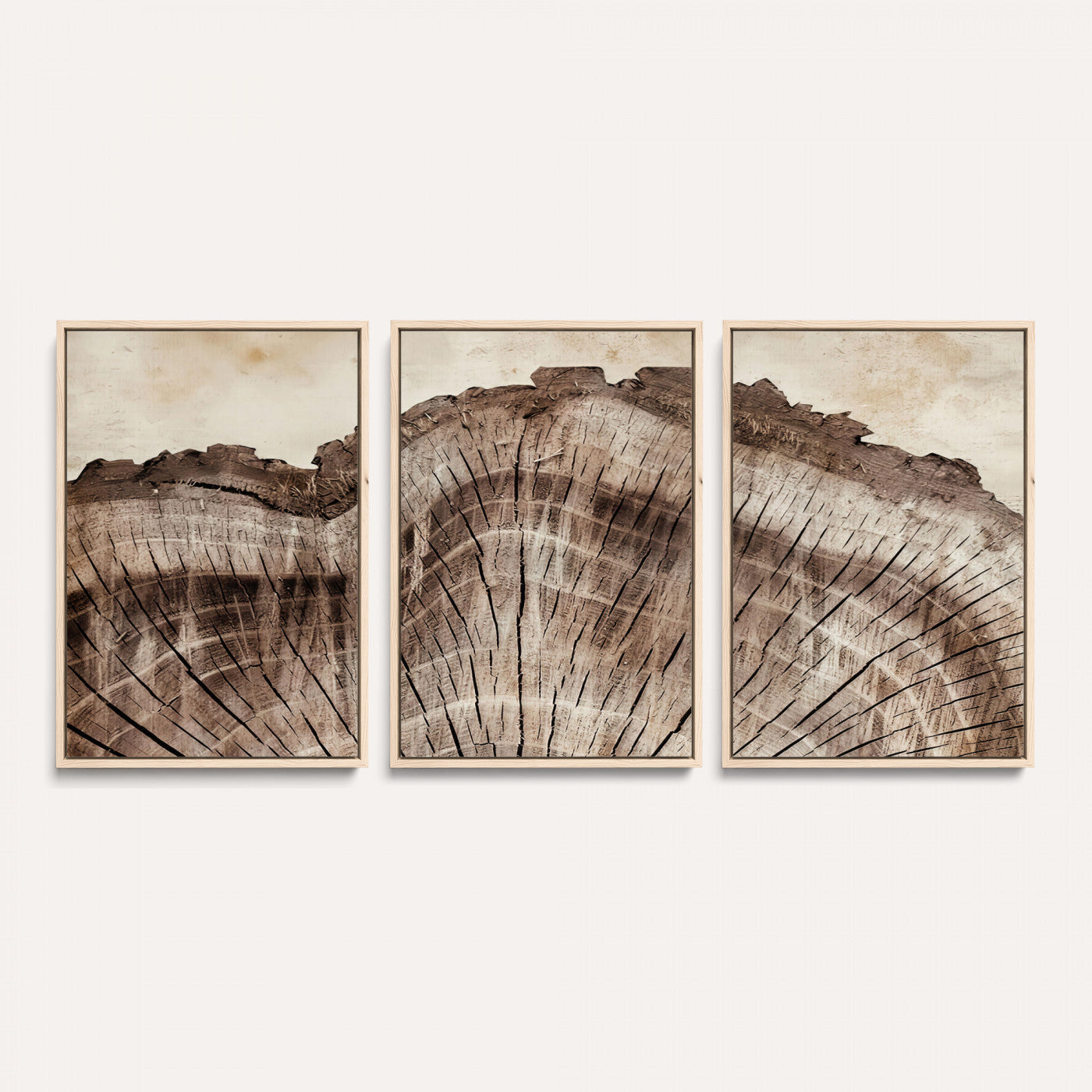 91280382-MGV-CV-60X30-3P - Tree Ring Canvas Wall Art in Neutral Earth Tones, Framed Wood Slice Print for Rustic and Japandi Interiors