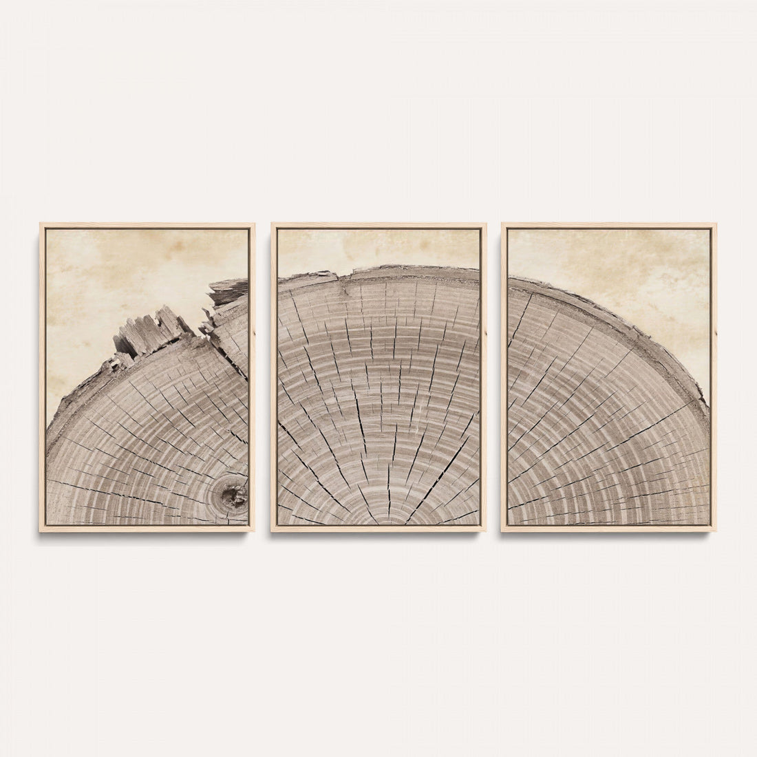 Tree Ring Canvas Wall Art in Neutral Earth Tones, Extra Large Living Room Wall Decor