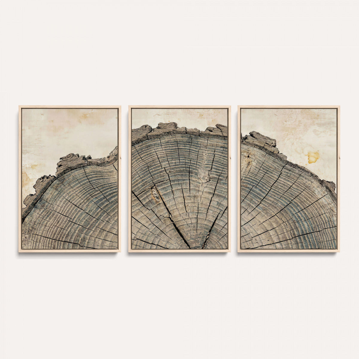 34201080-MGV-CV-60X30-3P - Tree Ring Canvas Wall Art in Neutral Earth Tones, Framed Wood Slice Print for Rustic and Japandi Interiors