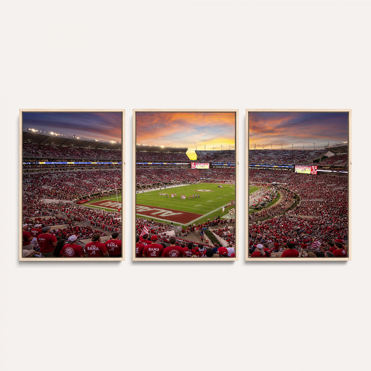 41995919-MGV-CV-36X24 - Stadium Wall Art Canvas Print