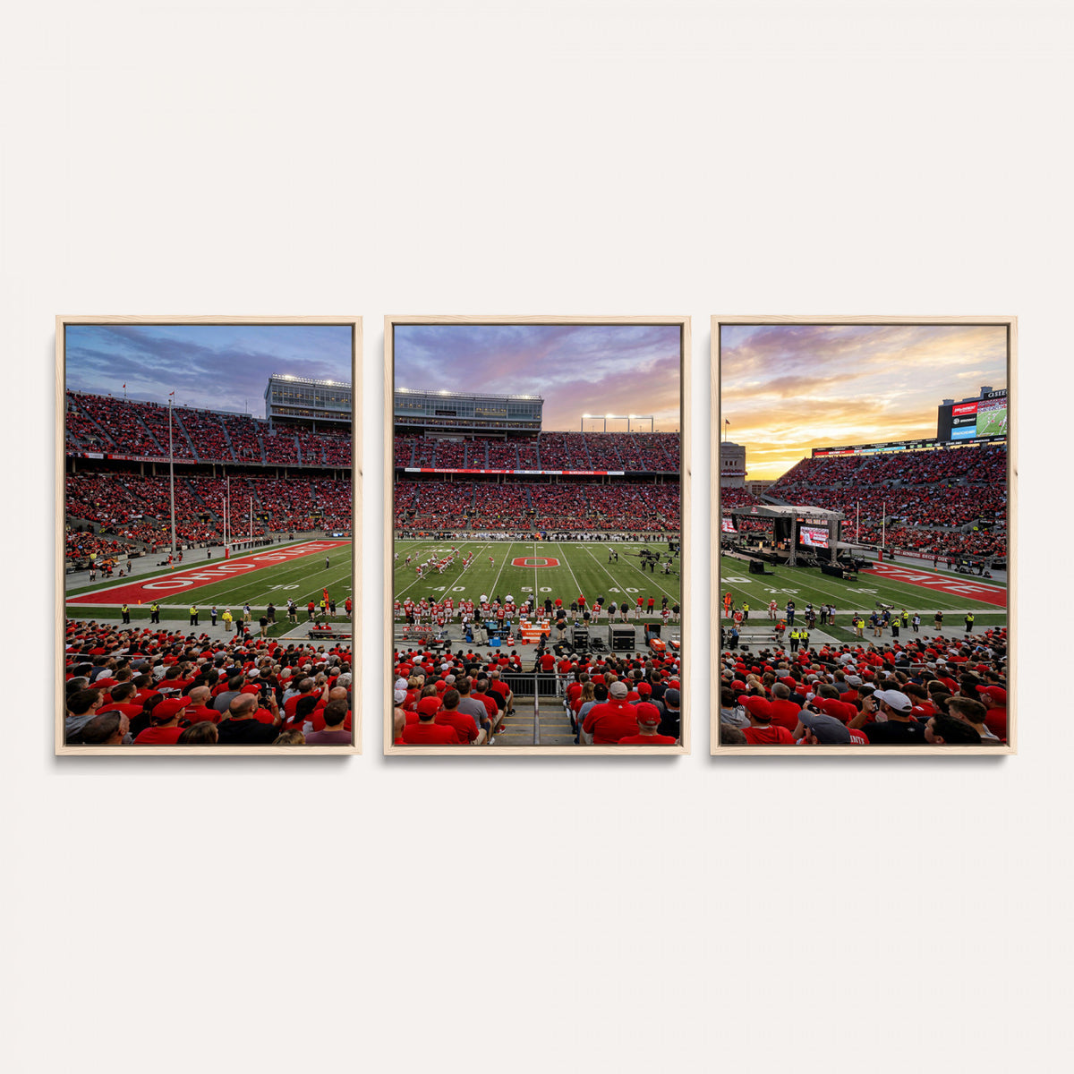 23196993-MGV-CV-36X24 - Stadium Wall Art Canvas Print