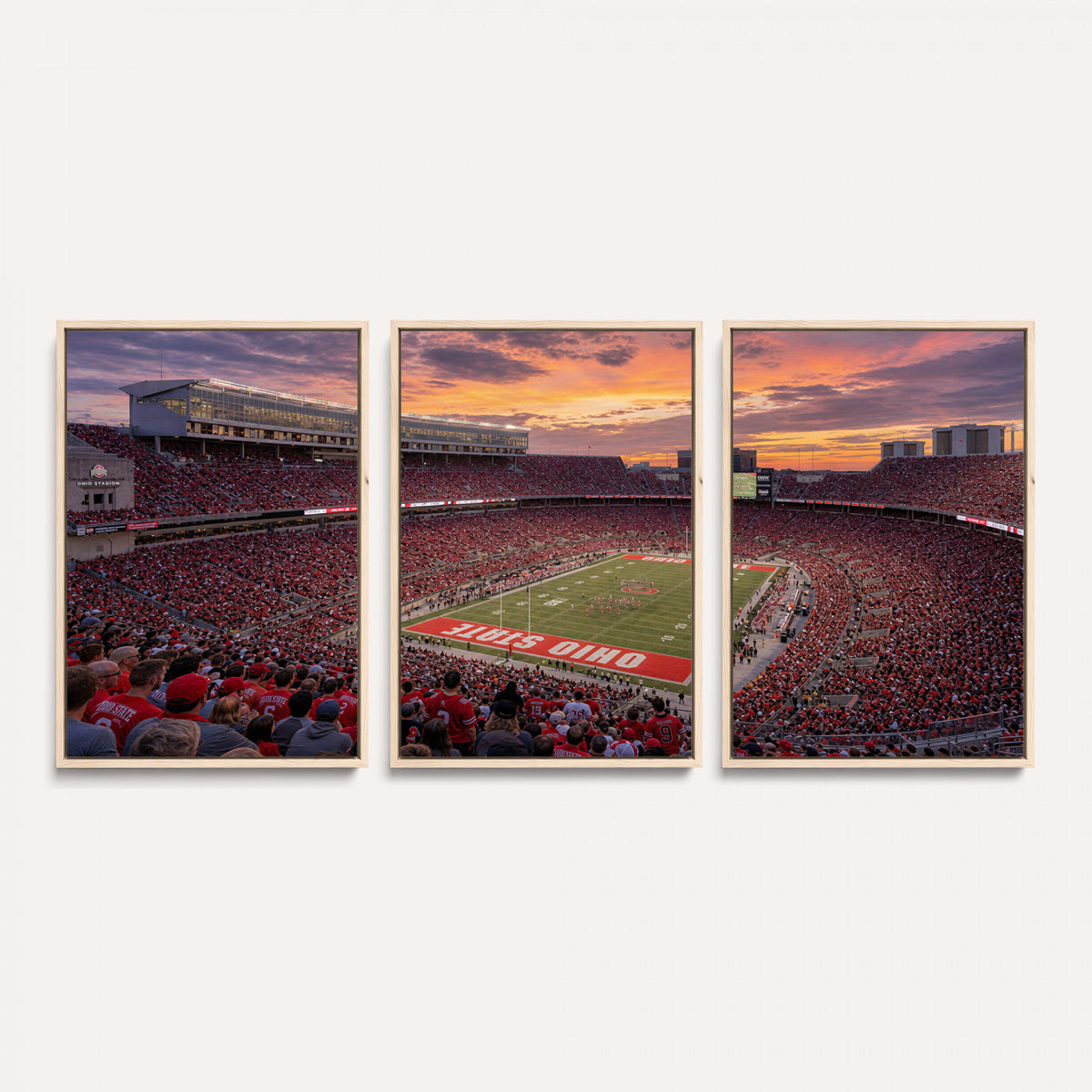95137596-MGV-CV-36X24 - Stadium Wall Art Canvas Print