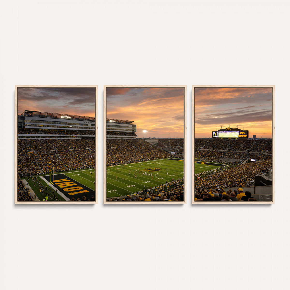 84993181-MGV-CV-36X24 - Stadium Wall Art Canvas Print