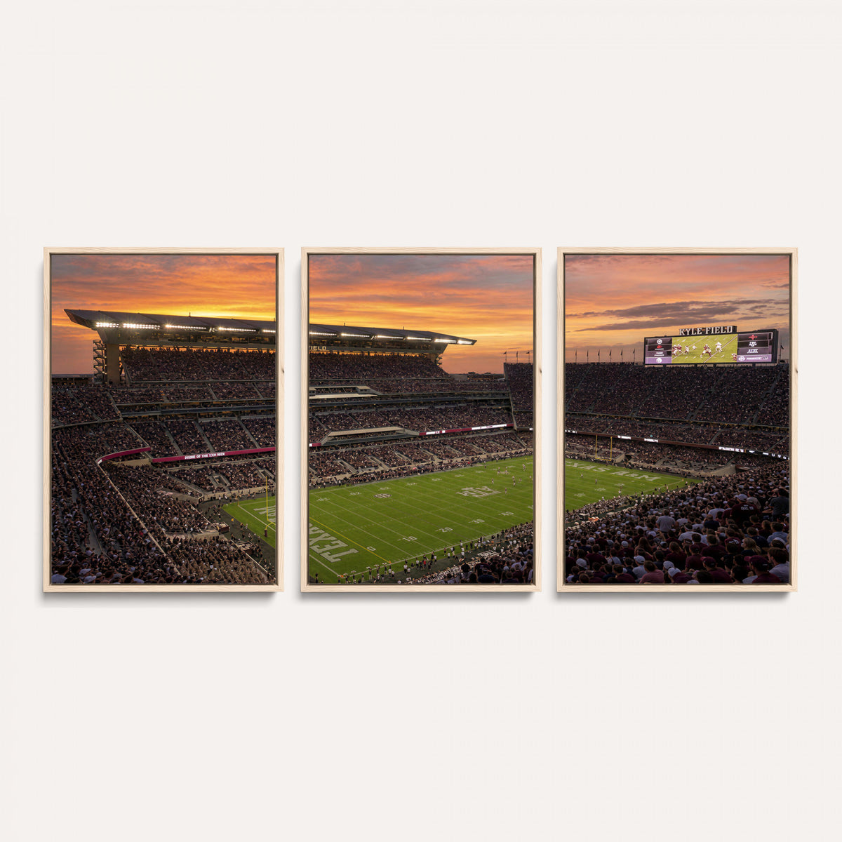 77401853-MGV-CV-36X24 - Stadium Wall Art Canvas Print