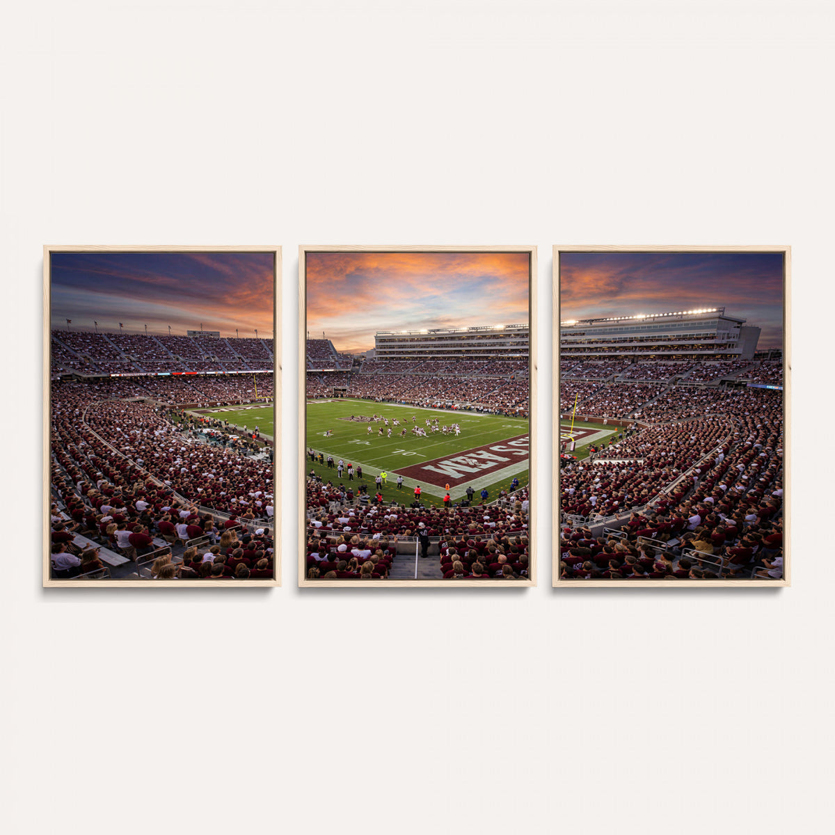 66624578-MGV-CV-36X24 - Stadium Wall Art Canvas Print