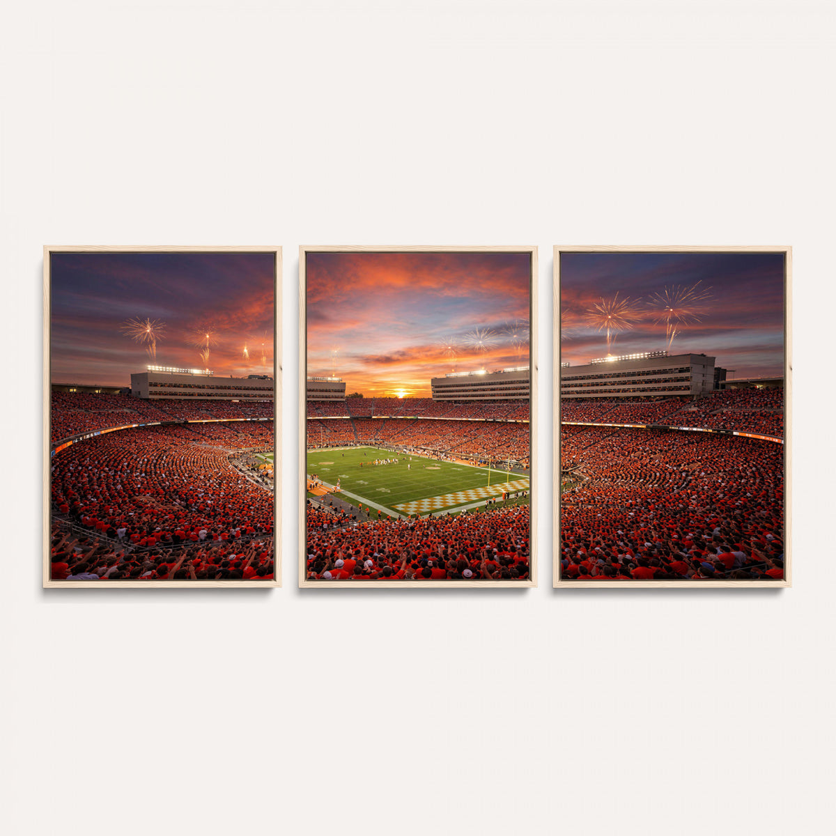 66964685-MGV-CV-36X24 - Stadium Wall Art Canvas Print
