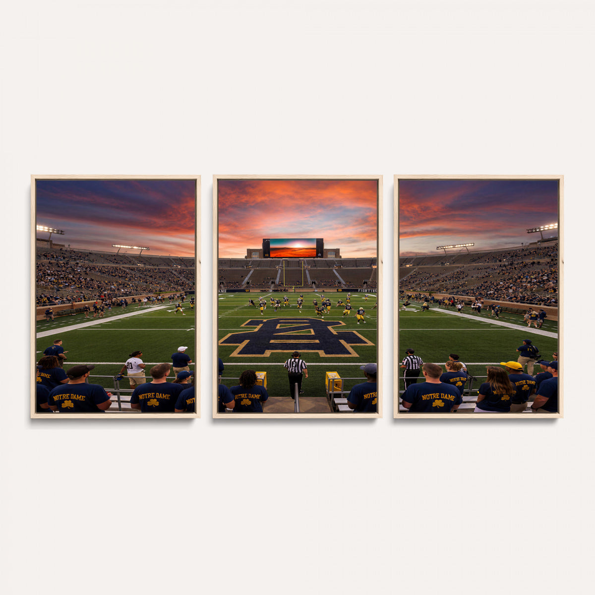 75411323-MGV-CV-36X24 - Stadium Wall Art Canvas Print