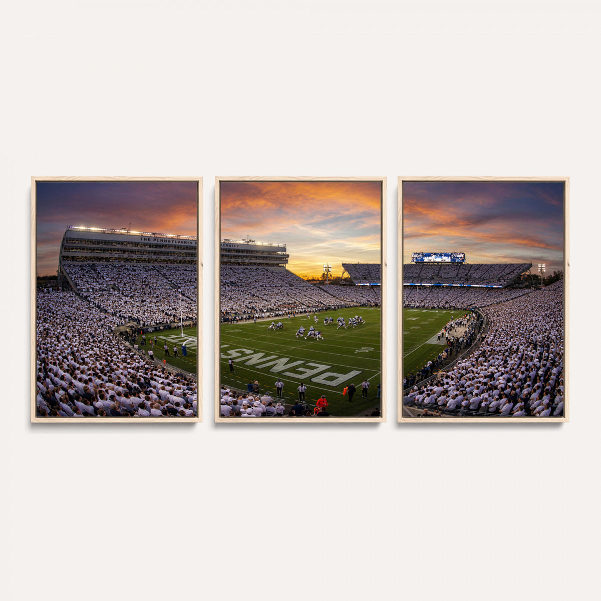 37485833-MGV-CV-36X24 - Stadium Wall Art Canvas Print