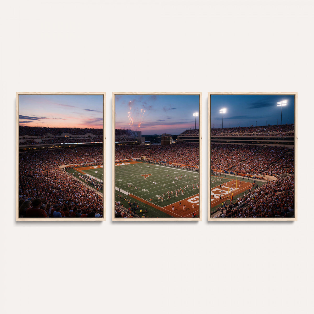 31666911-MGV-CV-36X24 - Stadium Wall Art Canvas Print
