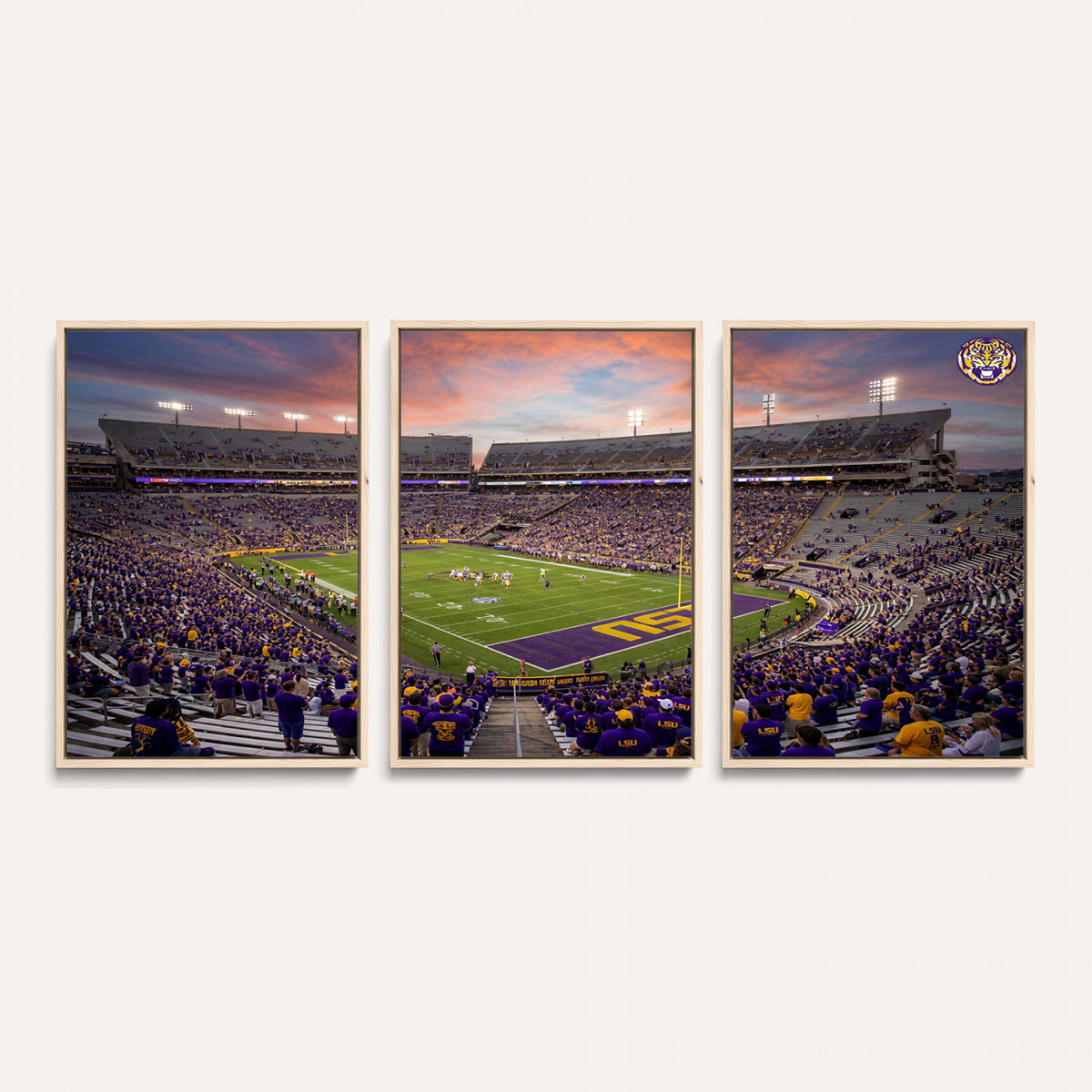 20281385-MGV-CV-36X24 - Stadium Wall Art Canvas Print