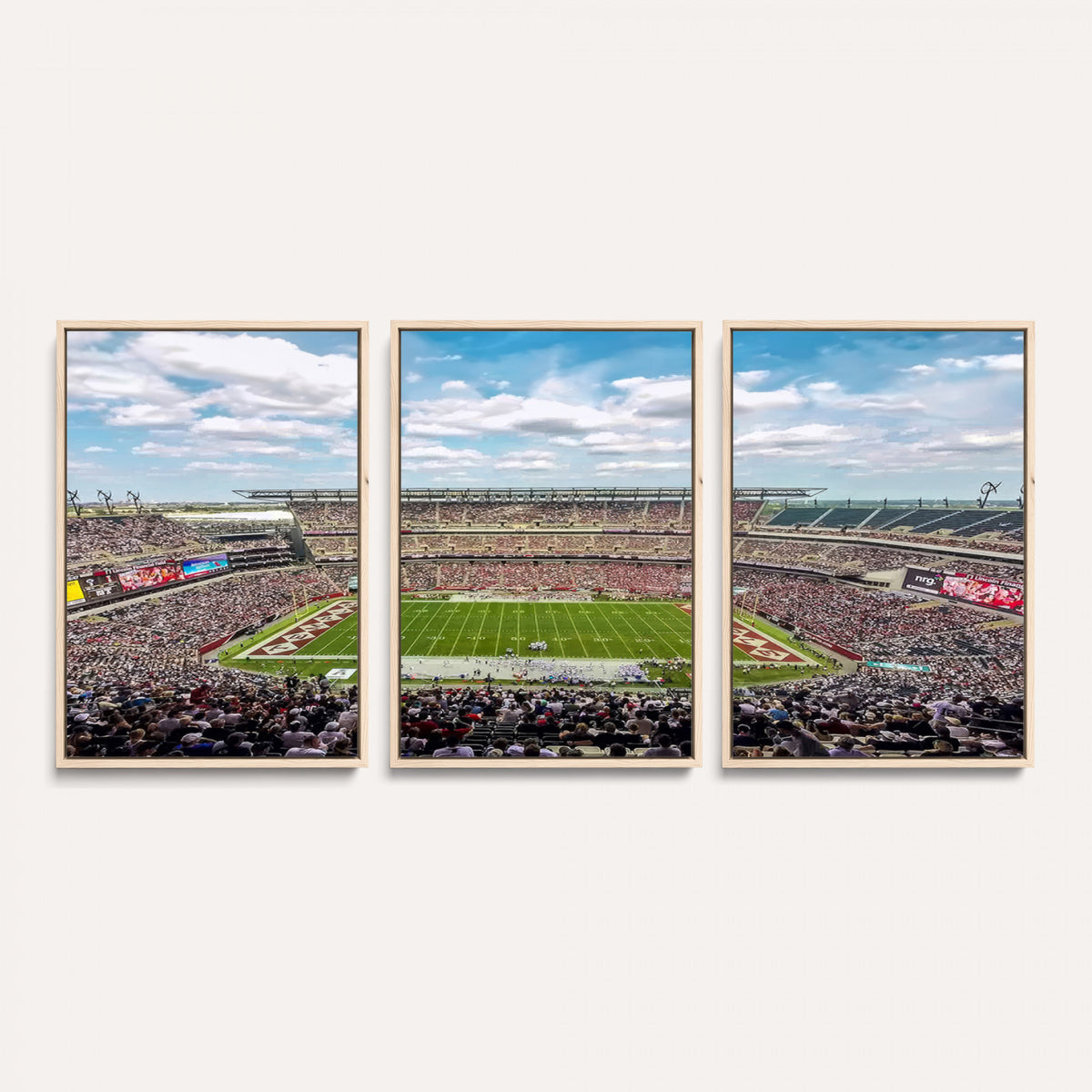 29243-PAN-FL-20X10 - The Temple University Owls Athletics Team Print - Philadelphia Lincoln Financial Field Stadium Wall