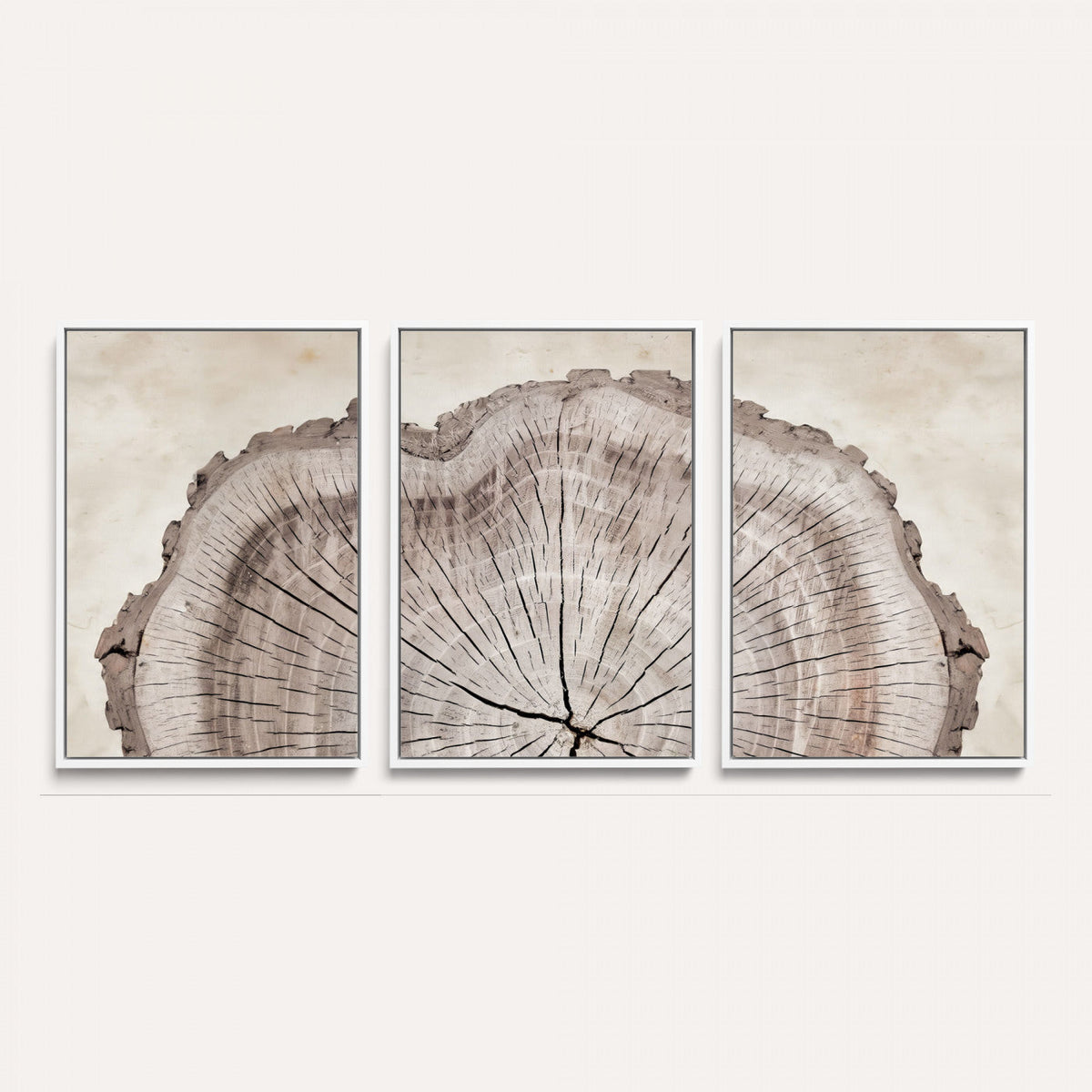 87833480-MGV-CV-60X30-3P - Tree Ring Canvas Wall Art in Neutral Earth Tones, Framed Wood Slice Print for Rustic and Japandi Interiors