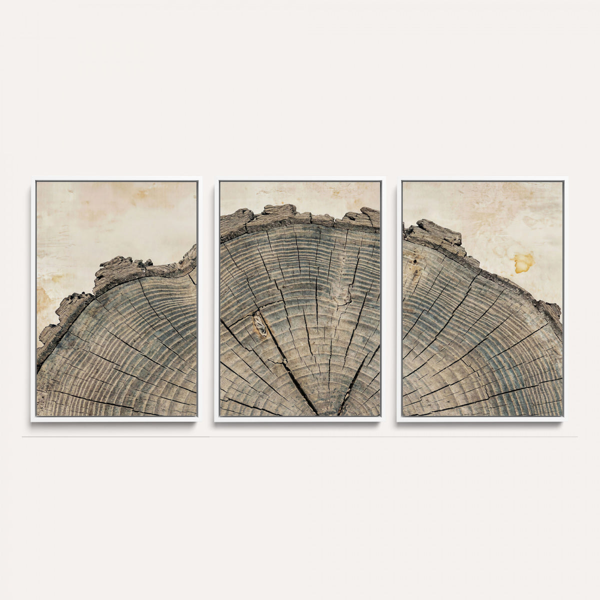 34201080-MGV-CV-60X30-3P - Tree Ring Canvas Wall Art in Neutral Earth Tones, Framed Wood Slice Print for Rustic and Japandi Interiors