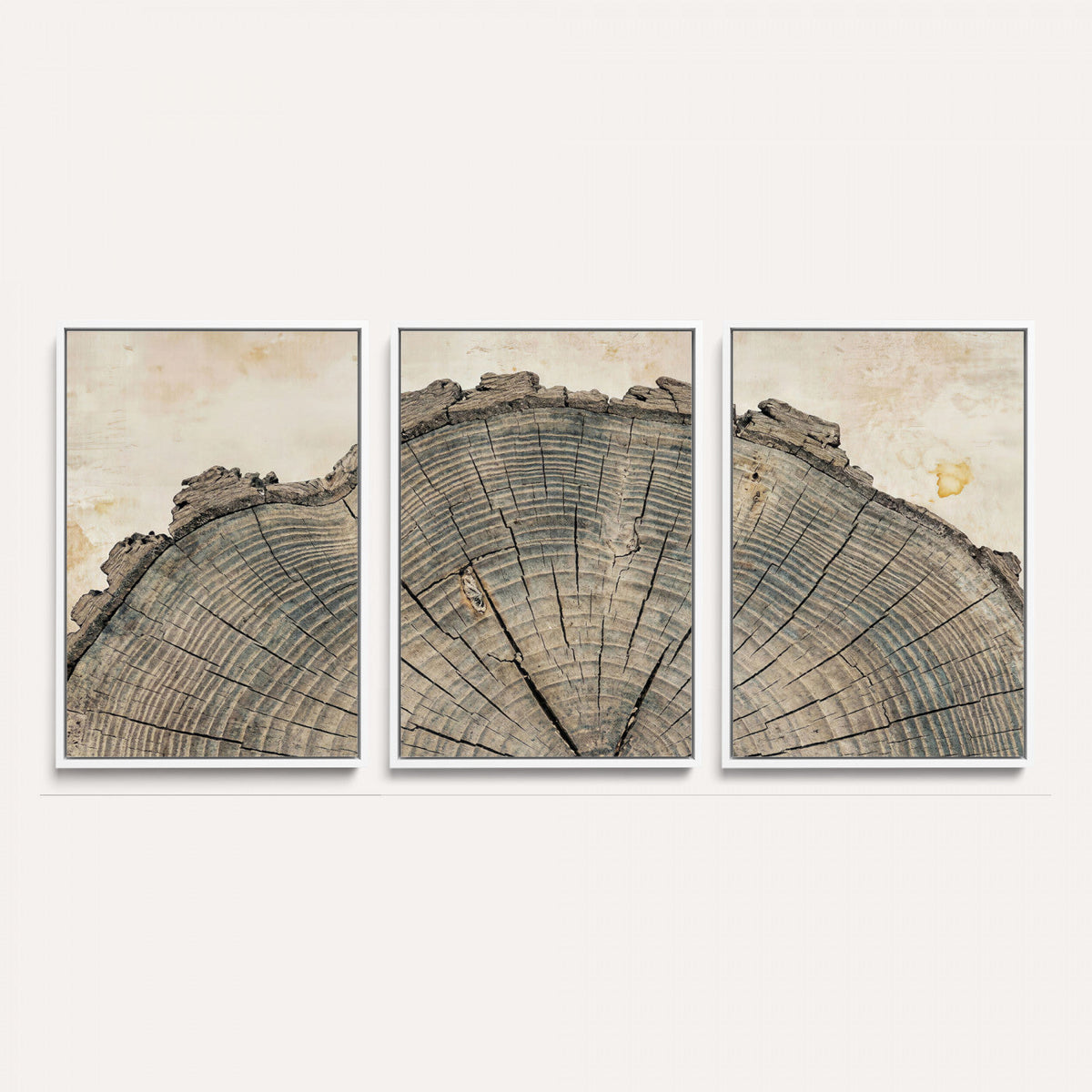 34201080-MGV-CV-60X30-3P - Tree Ring Canvas Wall Art in Neutral Earth Tones, Framed Wood Slice Print for Rustic and Japandi Interiors