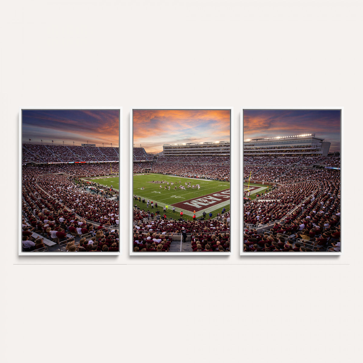 66624578-MGV-CV-36X24 - Stadium Wall Art Canvas Print
