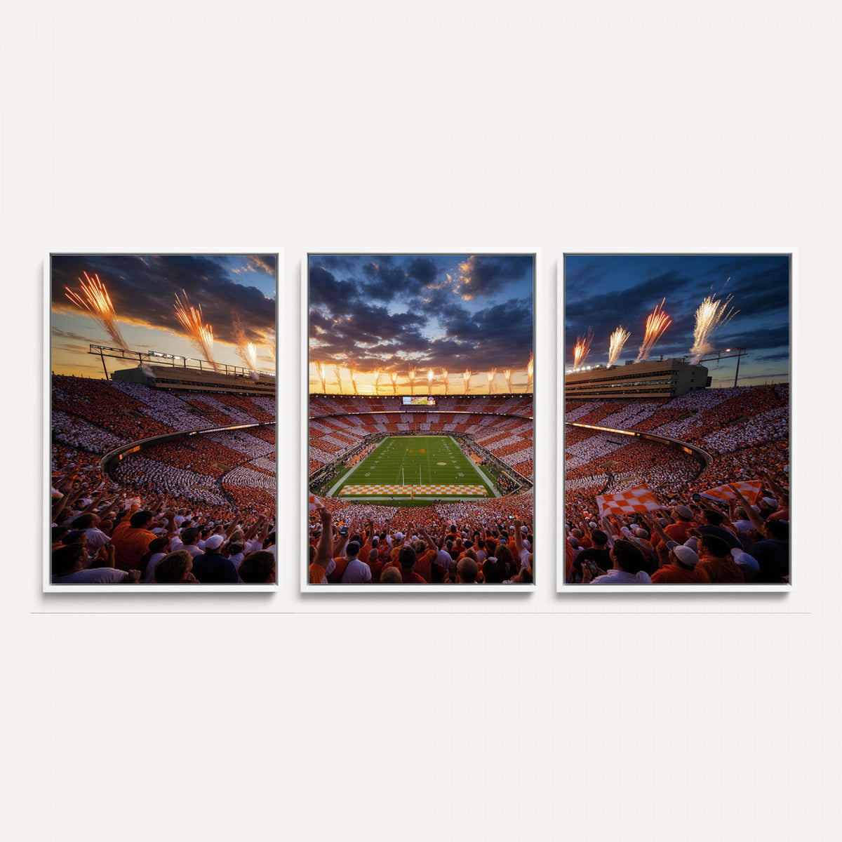 29672818-MGV-CV-36X24 - Stadium Wall Art Canvas Print