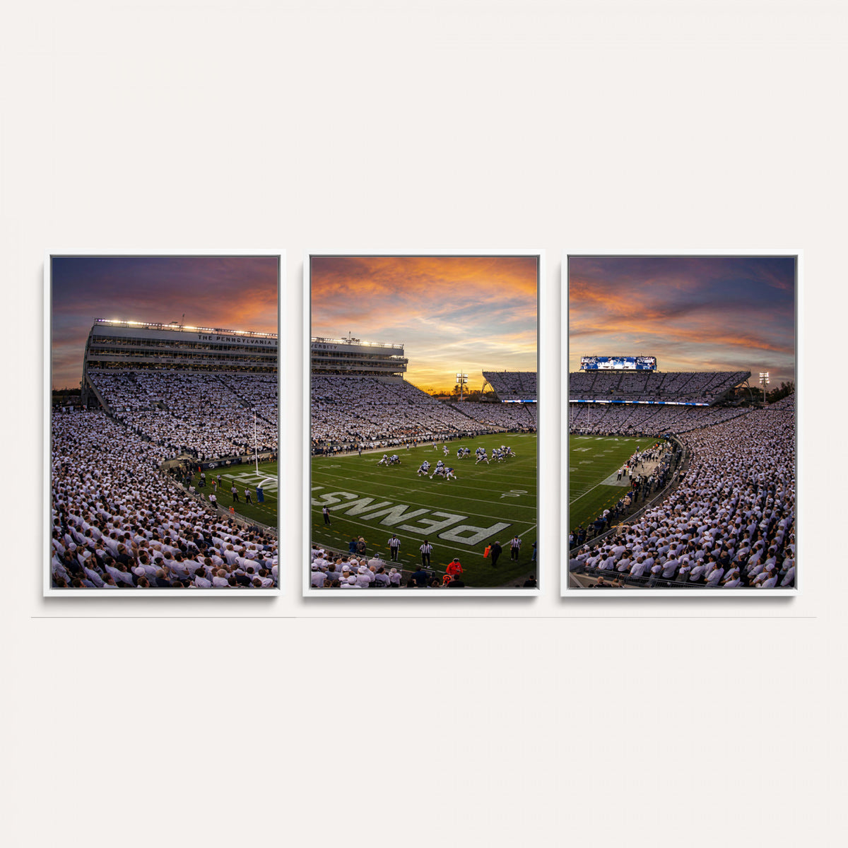 37485833-MGV-CV-36X24 - Stadium Wall Art Canvas Print