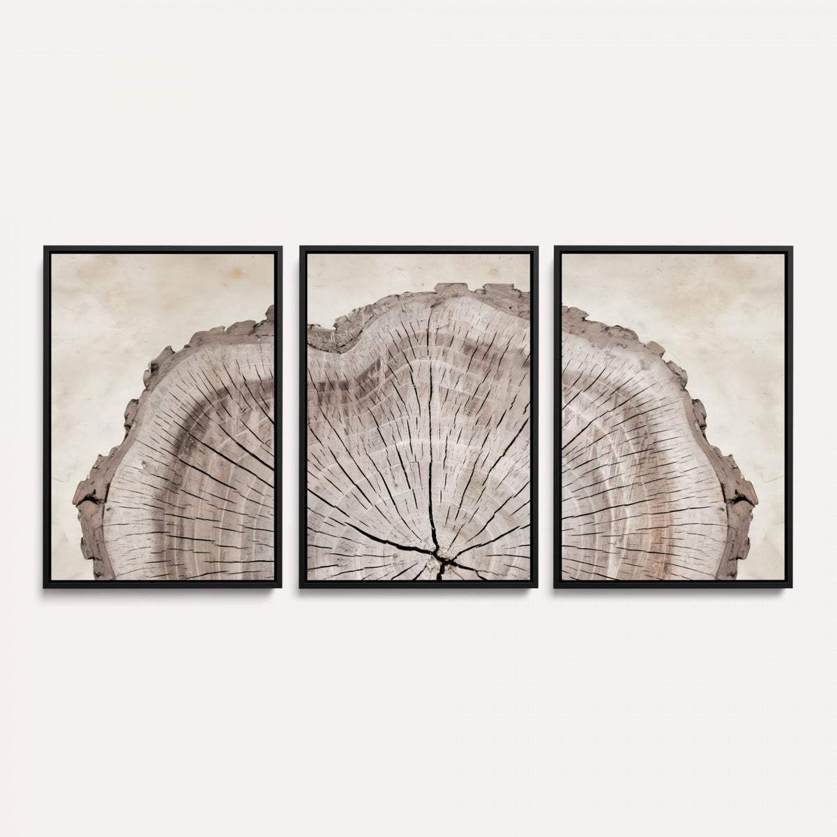 87833480-MGV-CV-60X30-3P - Tree Ring Canvas Wall Art in Neutral Earth Tones, Framed Wood Slice Print for Rustic and Japandi Interiors