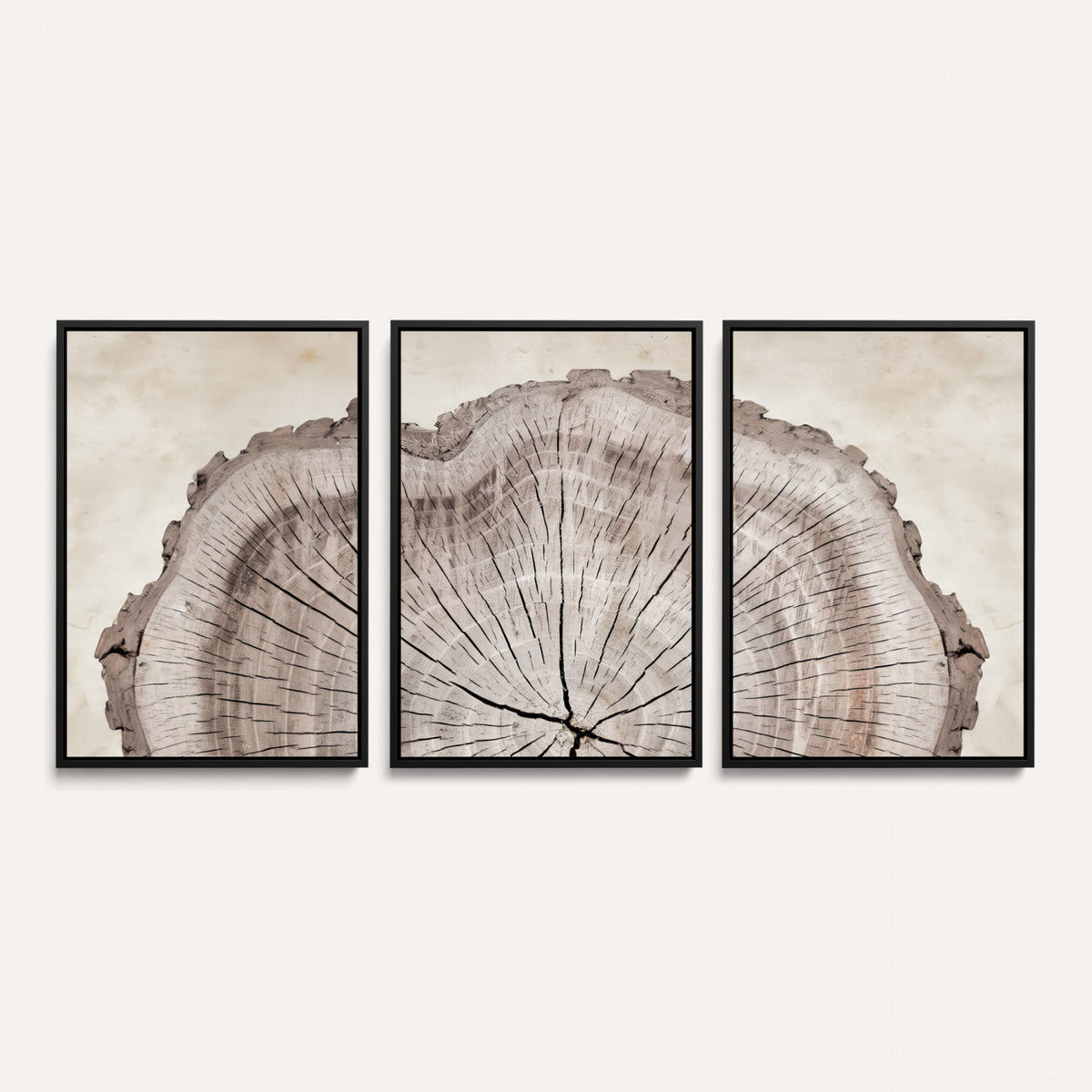 87833480-MGV-CV-60X30-3P - Tree Ring Canvas Wall Art in Neutral Earth Tones, Framed Wood Slice Print for Rustic and Japandi Interiors