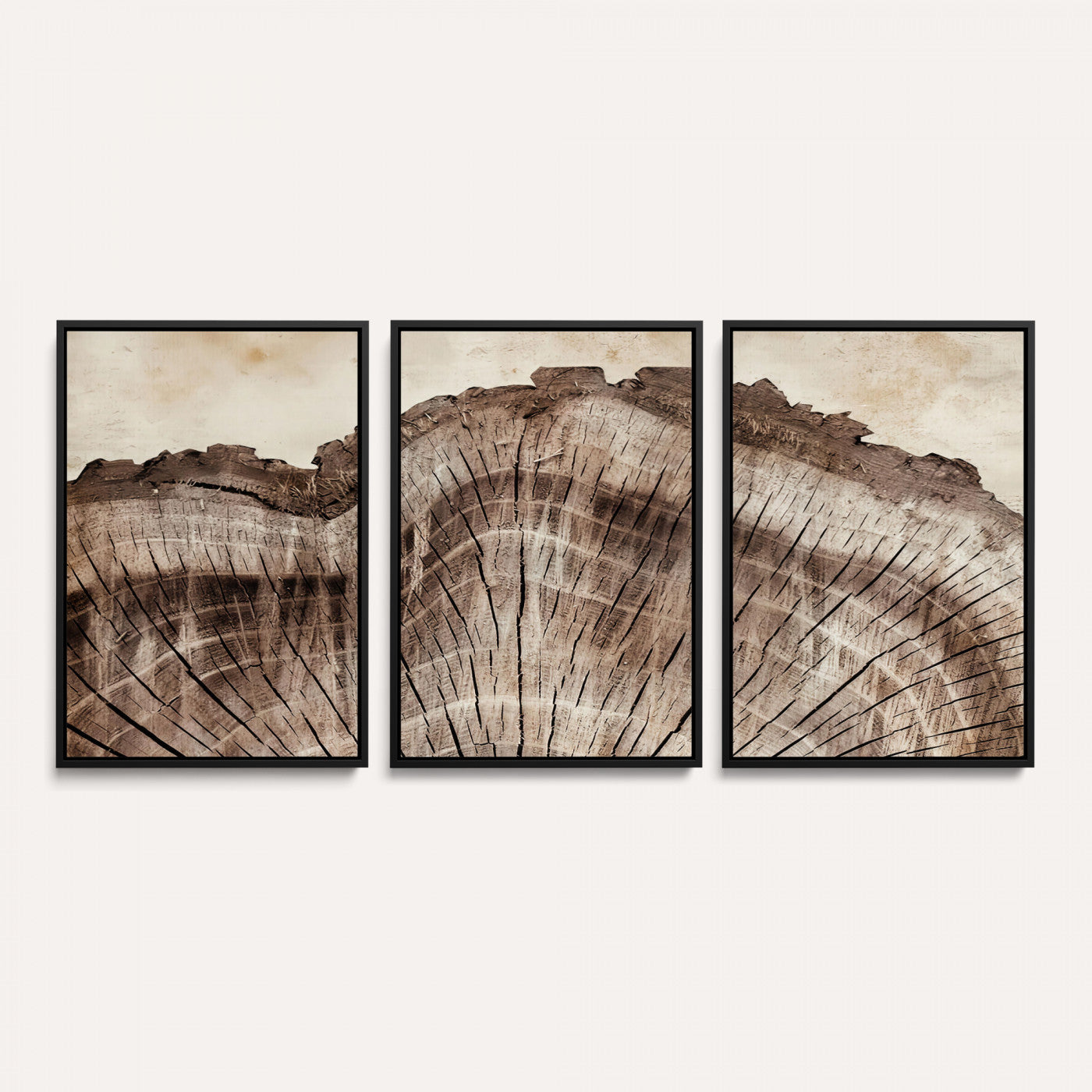 91280382-MGV-CV-60X30-3P - Tree Ring Canvas Wall Art in Neutral Earth Tones, Framed Wood Slice Print for Rustic and Japandi Interiors