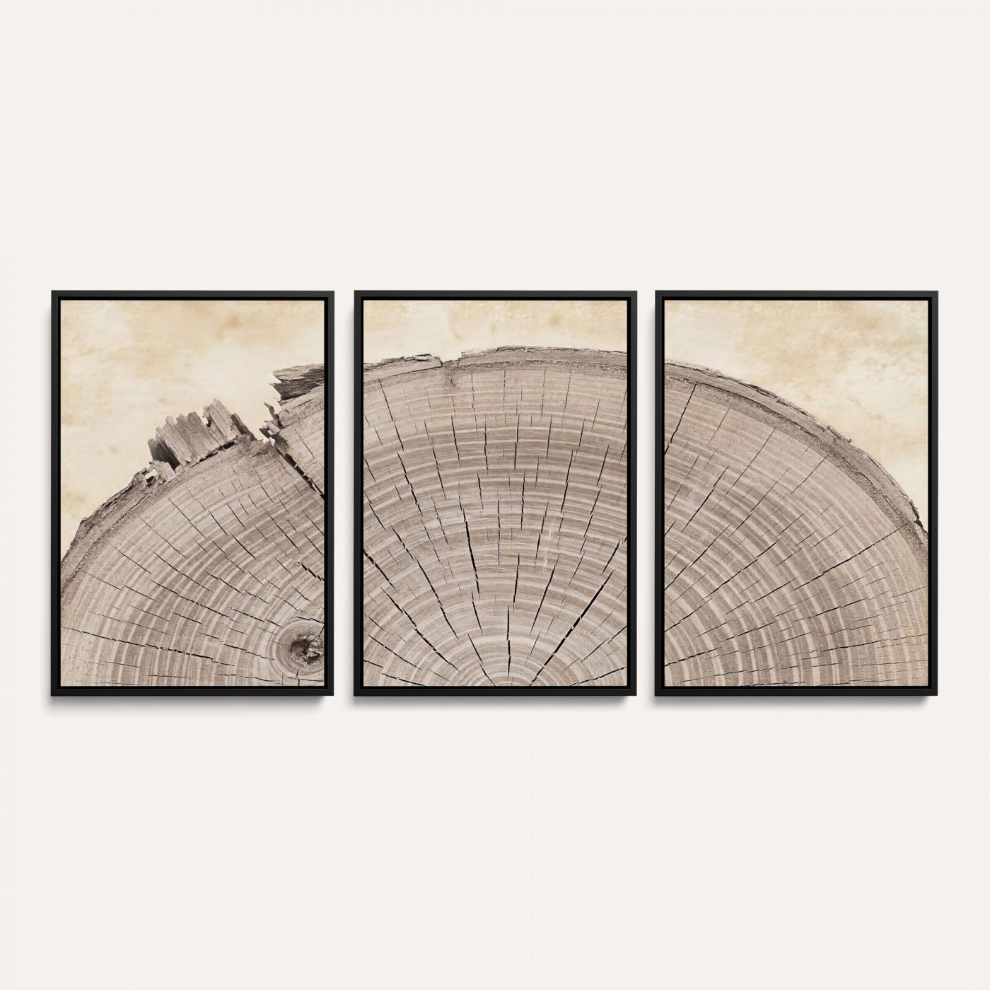 64174838-MGV-CV-60X30-3P - Tree Ring Canvas Wall Art in Neutral Earth Tones, Framed Wood Slice Print for Rustic and Japandi Interiors