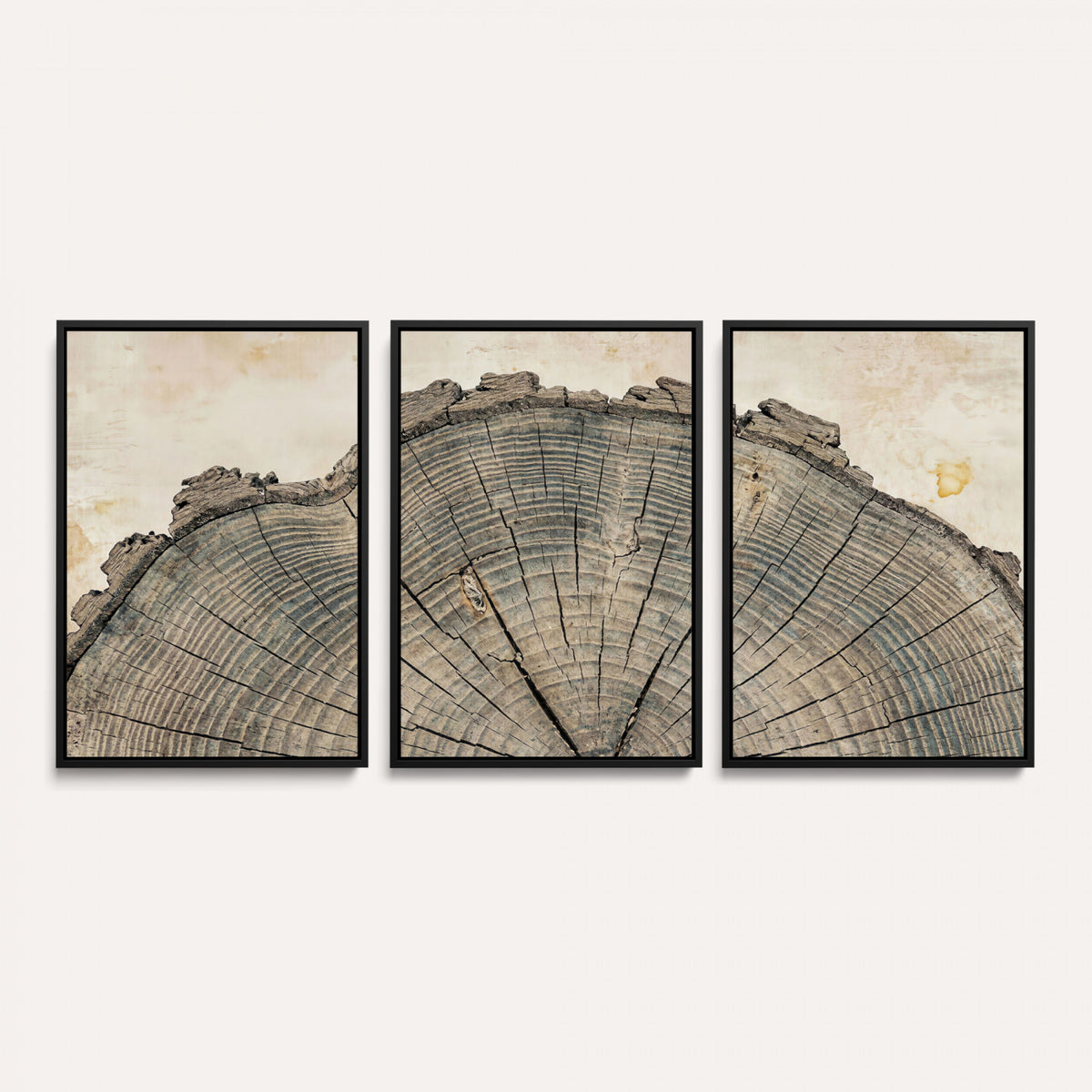 34201080-MGV-CV-60X30-3P - Tree Ring Canvas Wall Art in Neutral Earth Tones, Framed Wood Slice Print for Rustic and Japandi Interiors