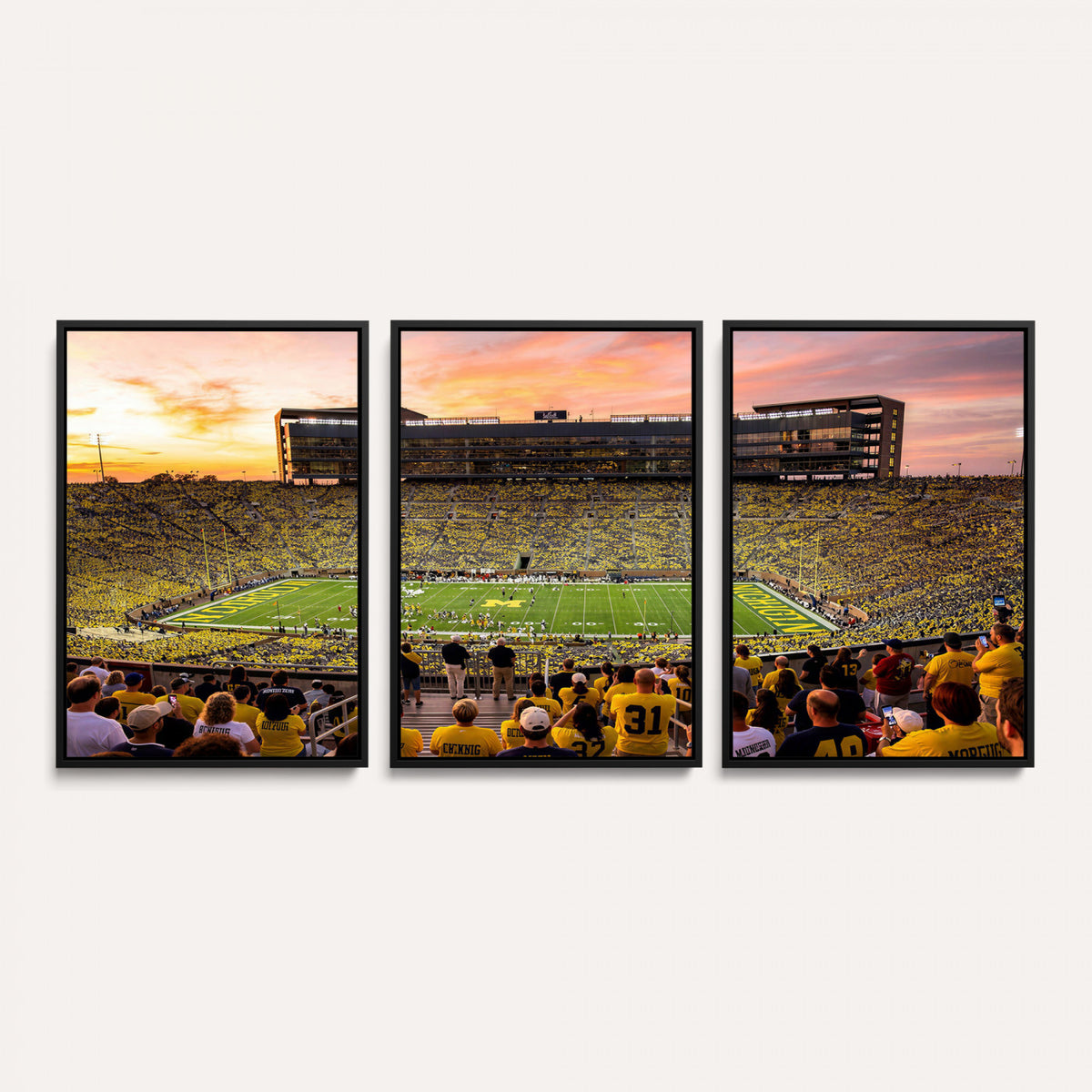 27265223-MGV-CV-36X24 - Stadium Wall Art Canvas Print
