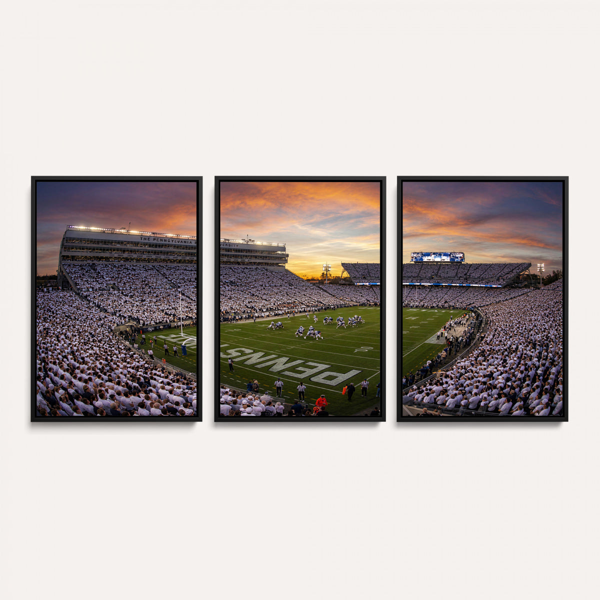 37485833-MGV-CV-36X24 - Stadium Wall Art Canvas Print