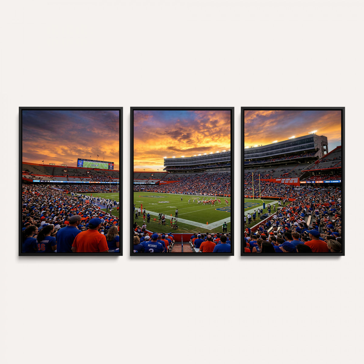 23829865-MGV-CV-36X24 - Stadium Wall Art Canvas Print