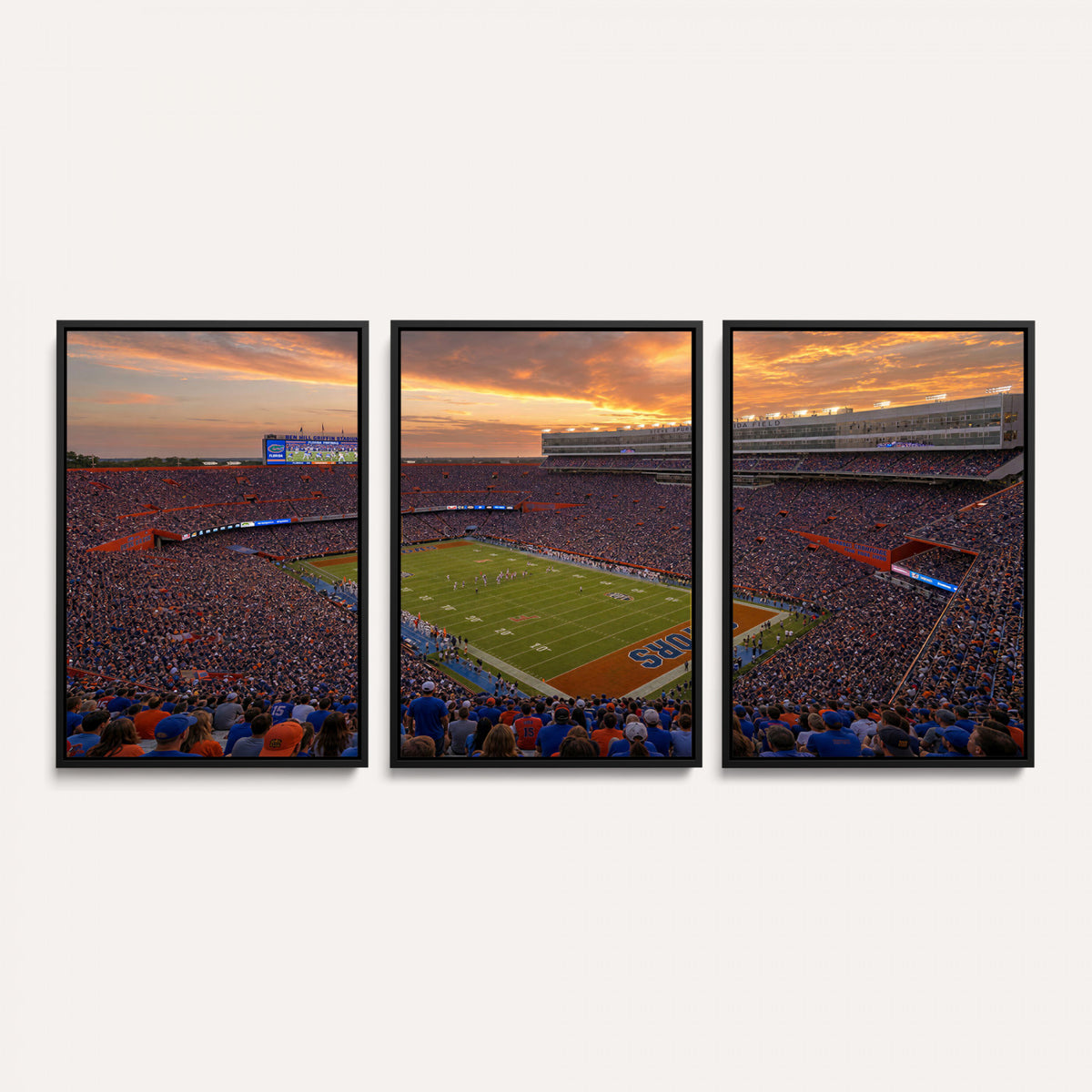 48009171-MGV-CV-36X24 - Stadium Wall Art Canvas Print