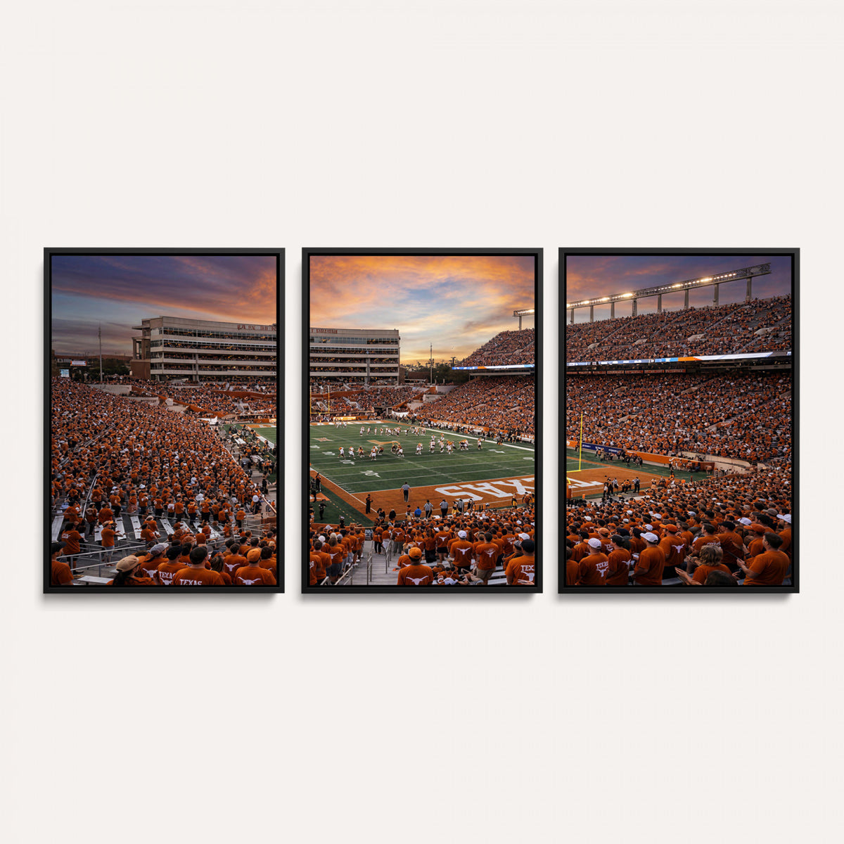 23560699-MGV-CV-36X24 - Stadium Wall Art Canvas Print