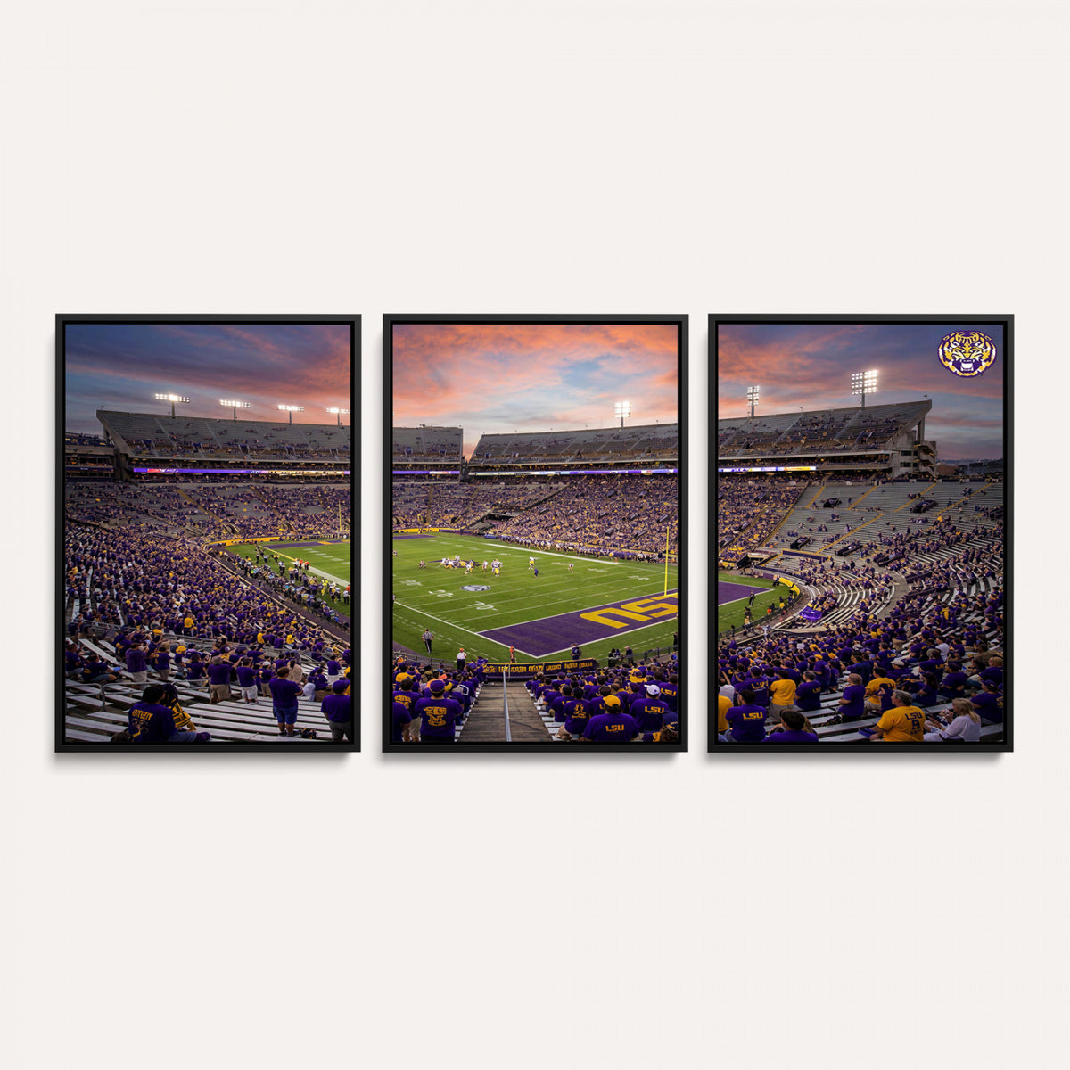 20281385-MGV-CV-36X24 - Stadium Wall Art Canvas Print