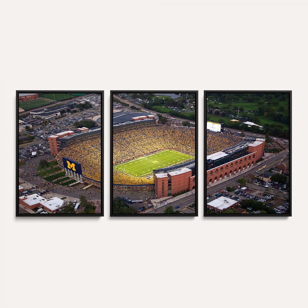 95248-PAN-FL-20X10 - University of Michigan Wolverines Football Team Print - Ann Arbor Michigan Stadium Wall Art Canvas