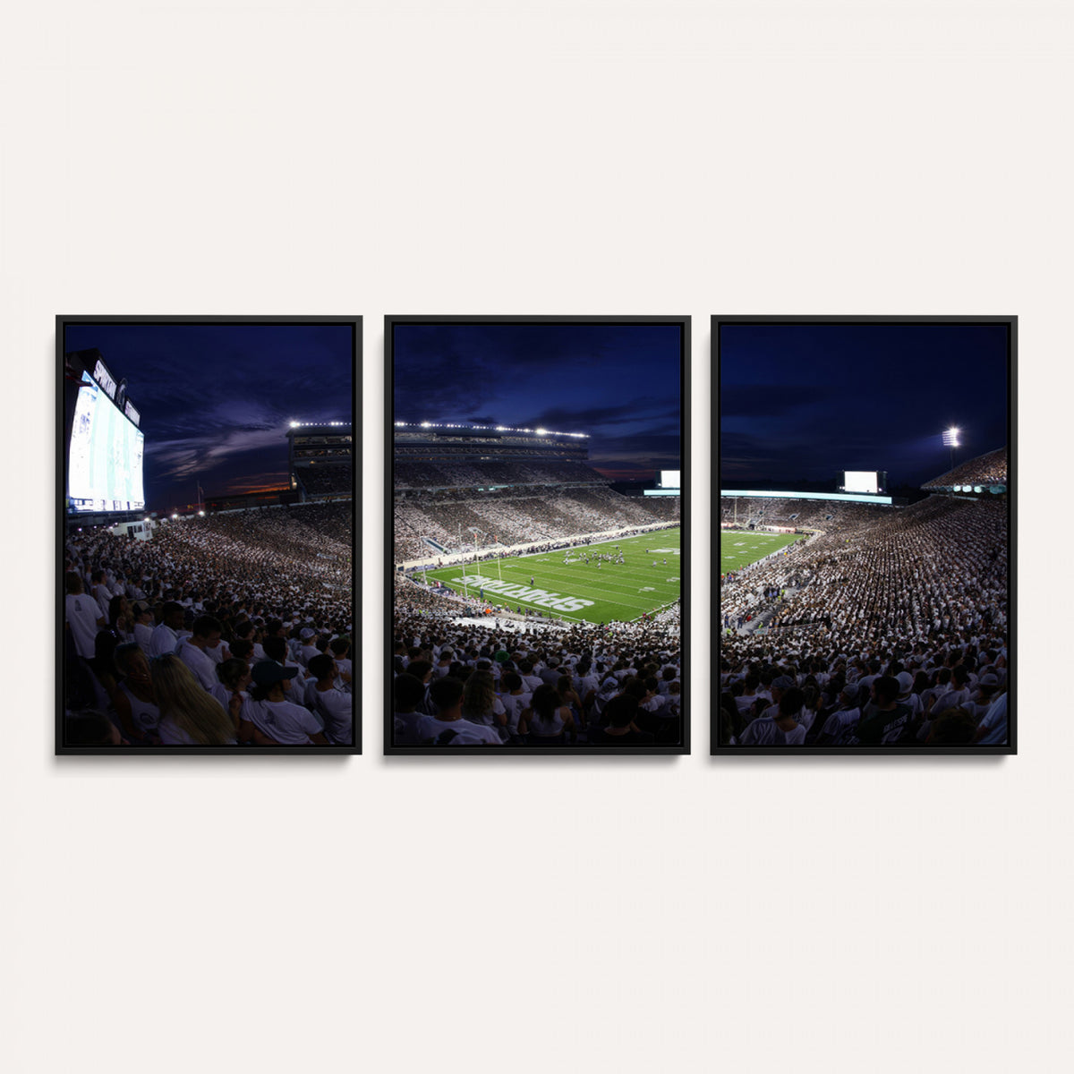 75193-PAN-FL-20X10 - Michigan State Spartans Canvas, Framed Football Team Print - East Lansing Spartan Stadium Wall Art