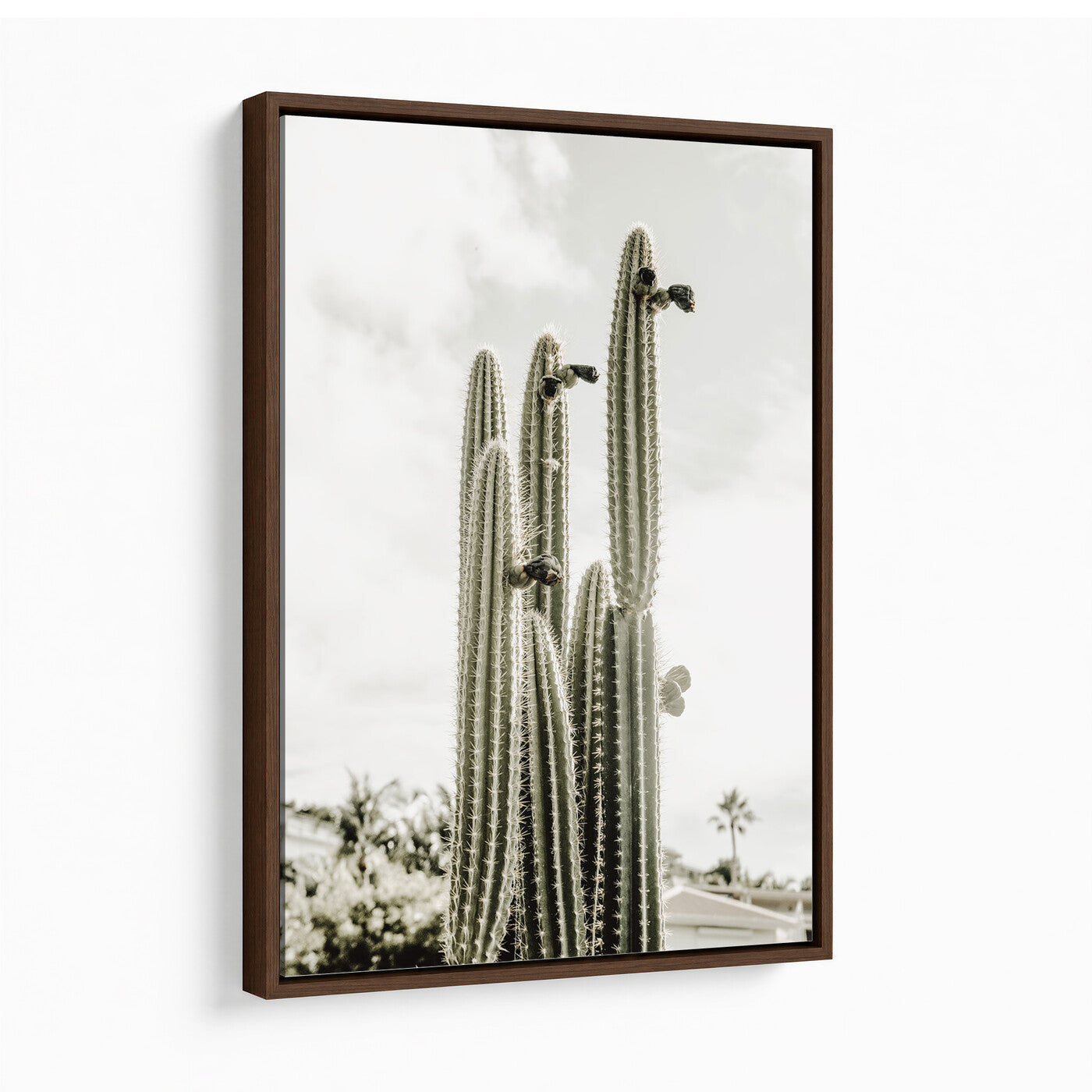 79942620-MGV-CV-24X36 - Tall Saguaro Cactus in Desert Sun Wall Art Canvas Print - Minimalist Boho Botanical Decor