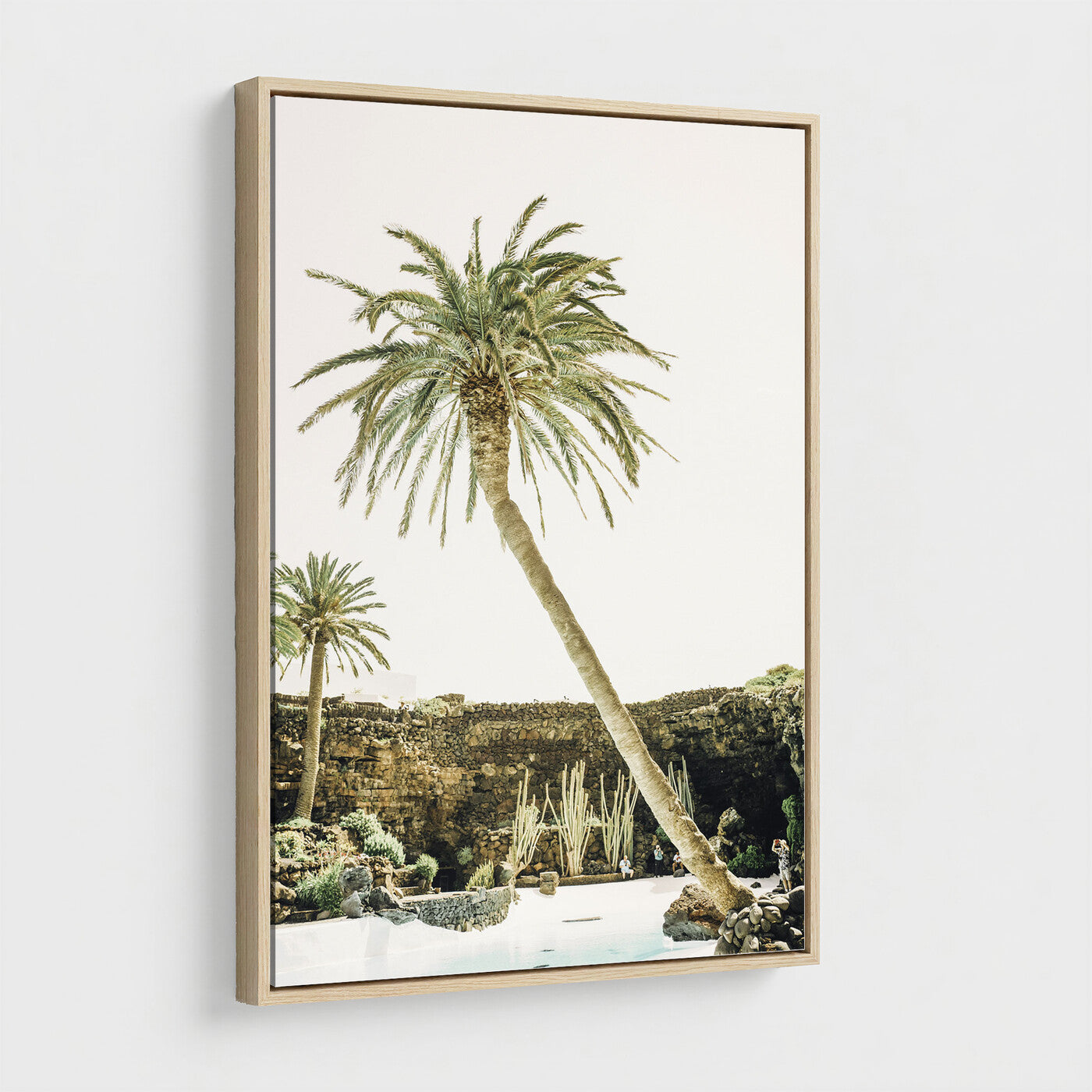 34739415-MGV-CV-24X36 - Jameos del Agua Lanzarote Spain Wall Art Canvas Print - Volcanic Oasis Palm Tree Pool