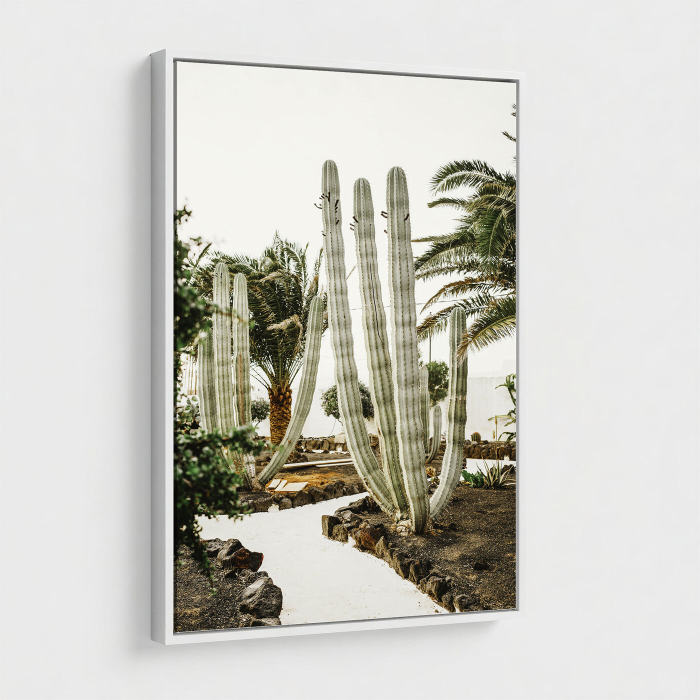 10167832-MGV-CV-24X36 - Cactus Garden Lanzarote Spain Wall Art Canvas Print - Cesar Manrique Desert Oasis Painting