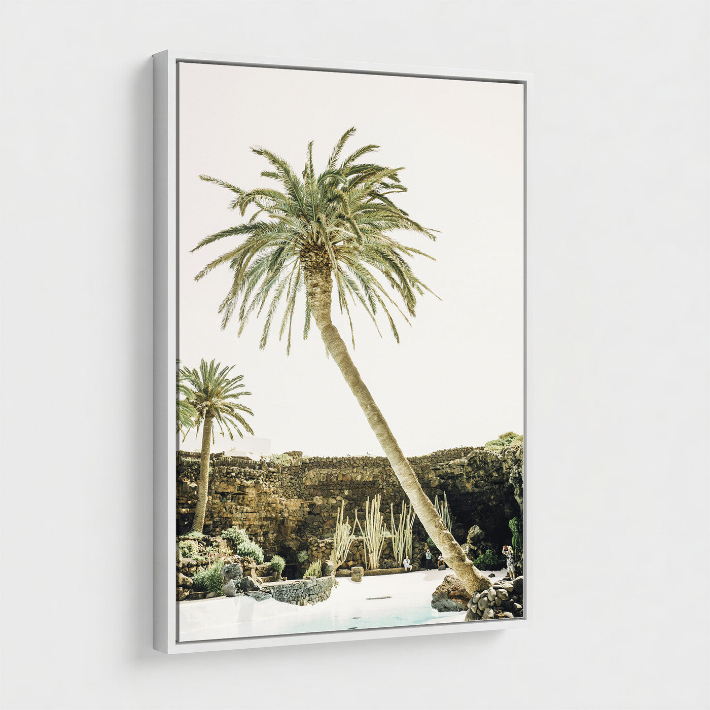 34739415-MGV-CV-24X36 - Jameos del Agua Lanzarote Spain Wall Art Canvas Print - Volcanic Oasis Palm Tree Pool