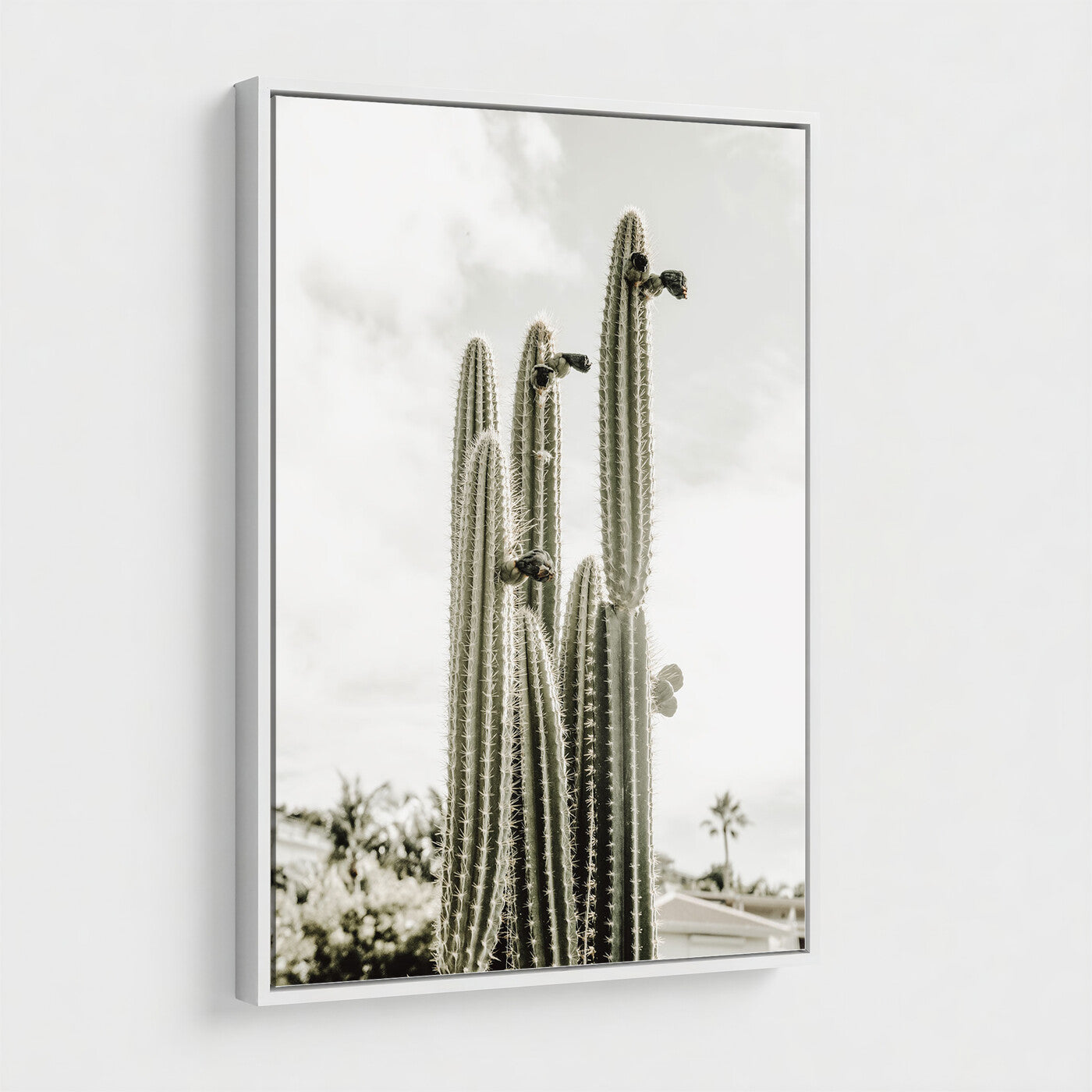 79942620-MGV-CV-24X36 - Tall Saguaro Cactus in Desert Sun Wall Art Canvas Print - Minimalist Boho Botanical Decor