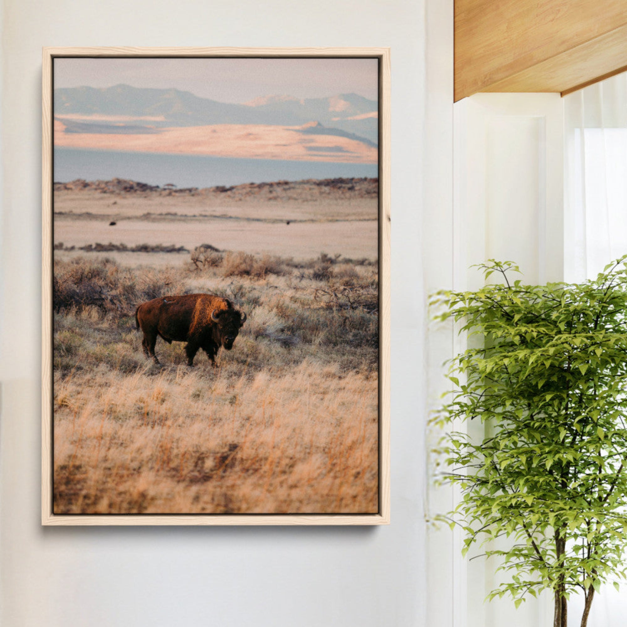 -Solitary Buffalo Wall Art Canvas Print – Framed Golden Prairie Scene Earthy Tones Rustic Nature Artwork for Home Office