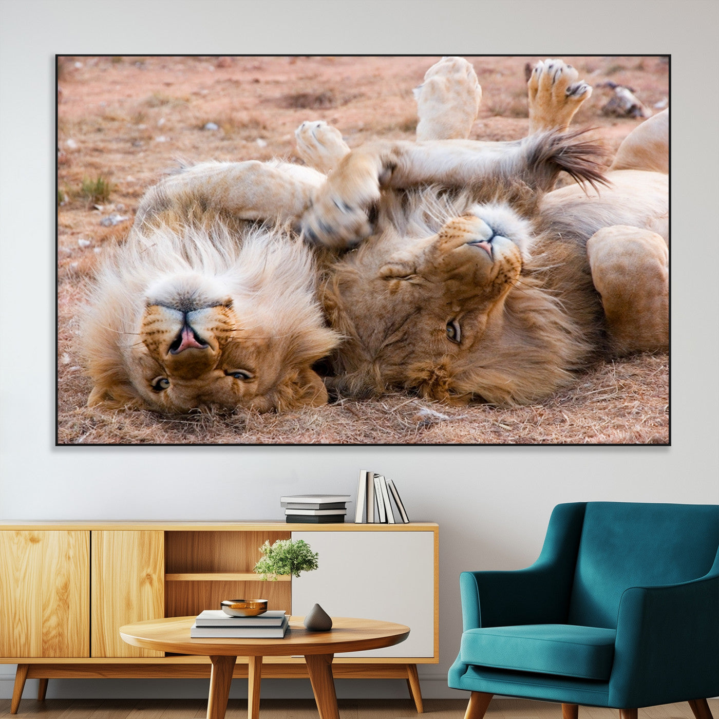 62598-MGV-CV-36X24-Lion Pair Wall Art Canvas Print – Framed Wildlife Scene with Playful Lions Artwork for Home, Office, Living Room