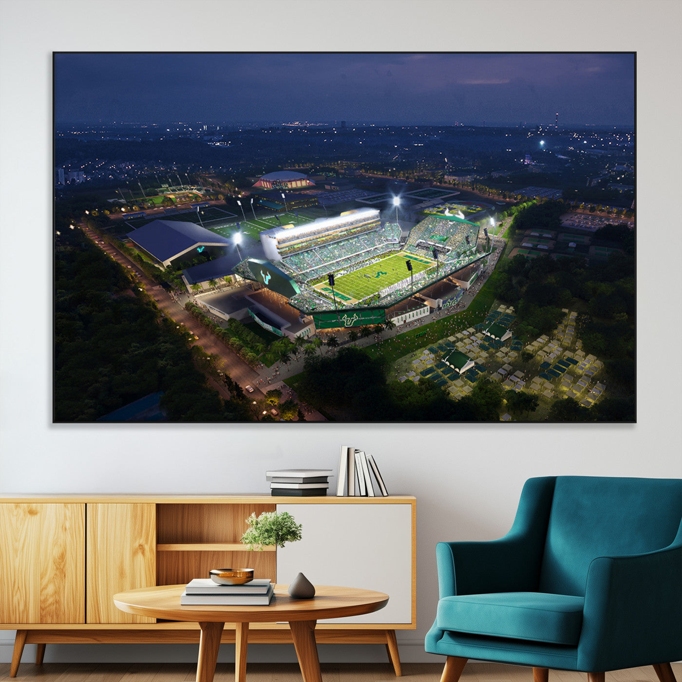 -The University of South Florida Bulls Football Team Print - Tampa USF Football Stadium Wall Art