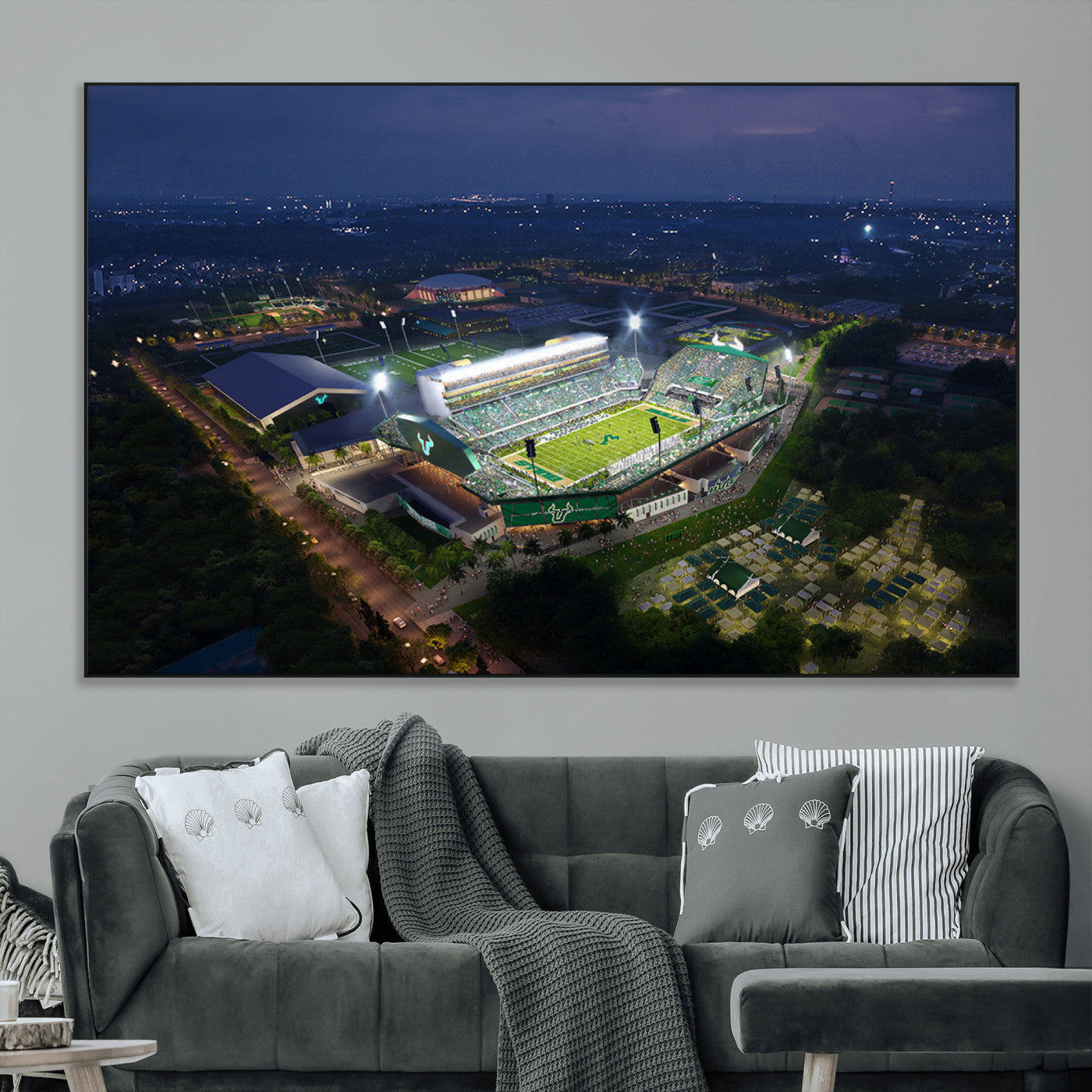 -The University of South Florida Bulls Football Team Print - Tampa USF Football Stadium Wall Art