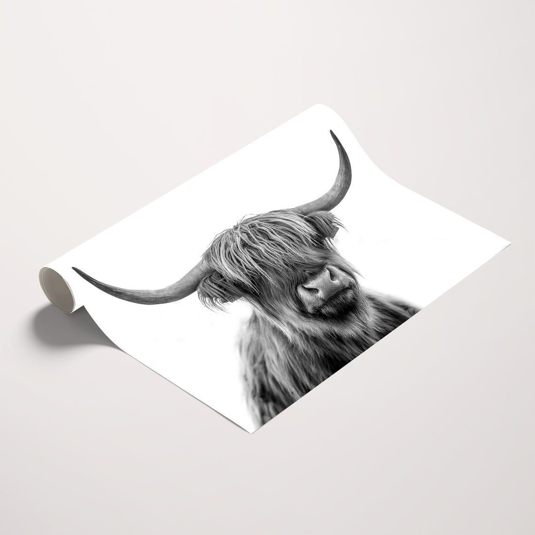 Scottish Highland Cow Cattle Art Print Wall Art Canvas Print