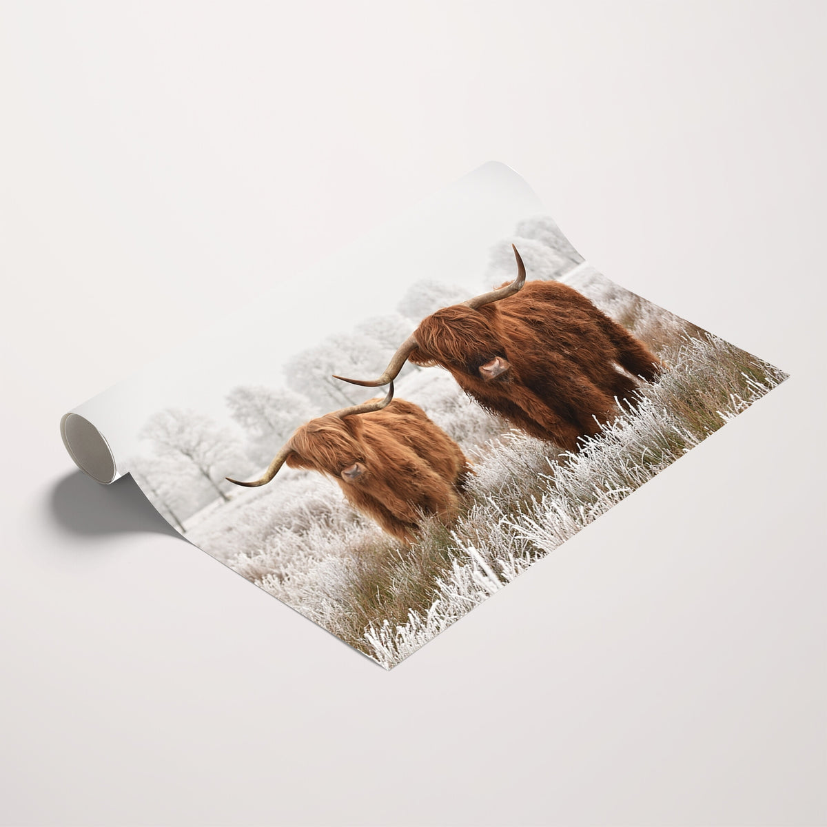 60379-_Poster-30x20 - MyGreatCanvas -