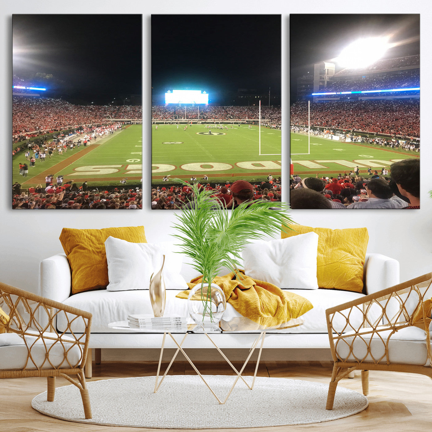 16230786-MGV-CV-60X30-3P - Dooley Stadium Wall Art, Sports Arena Panoramic Canvas Print, Modern Stadium Landscape Artwork for Home, Office