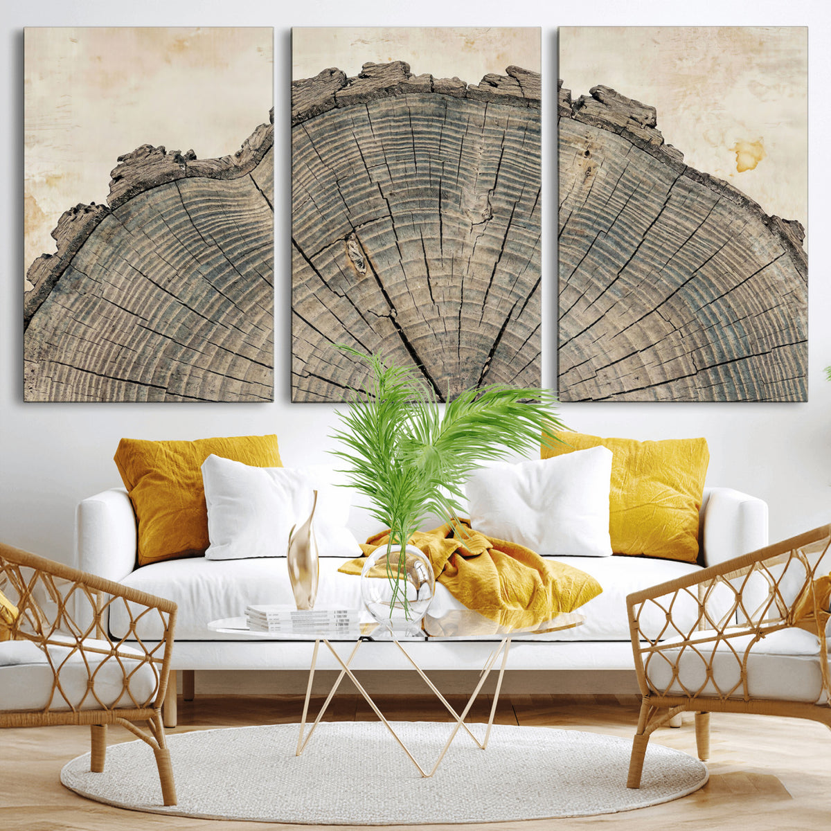 34201080-MGV-CV-60X30-3P - Tree Ring Canvas Wall Art in Neutral Earth Tones, Framed Wood Slice Print for Rustic and Japandi Interiors