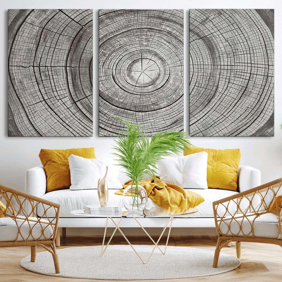 62842388-MGV-CV-36X24 - Rustic Tree Ring Canvas Wall Art, Gray Wood Slice Abstract Nature Print